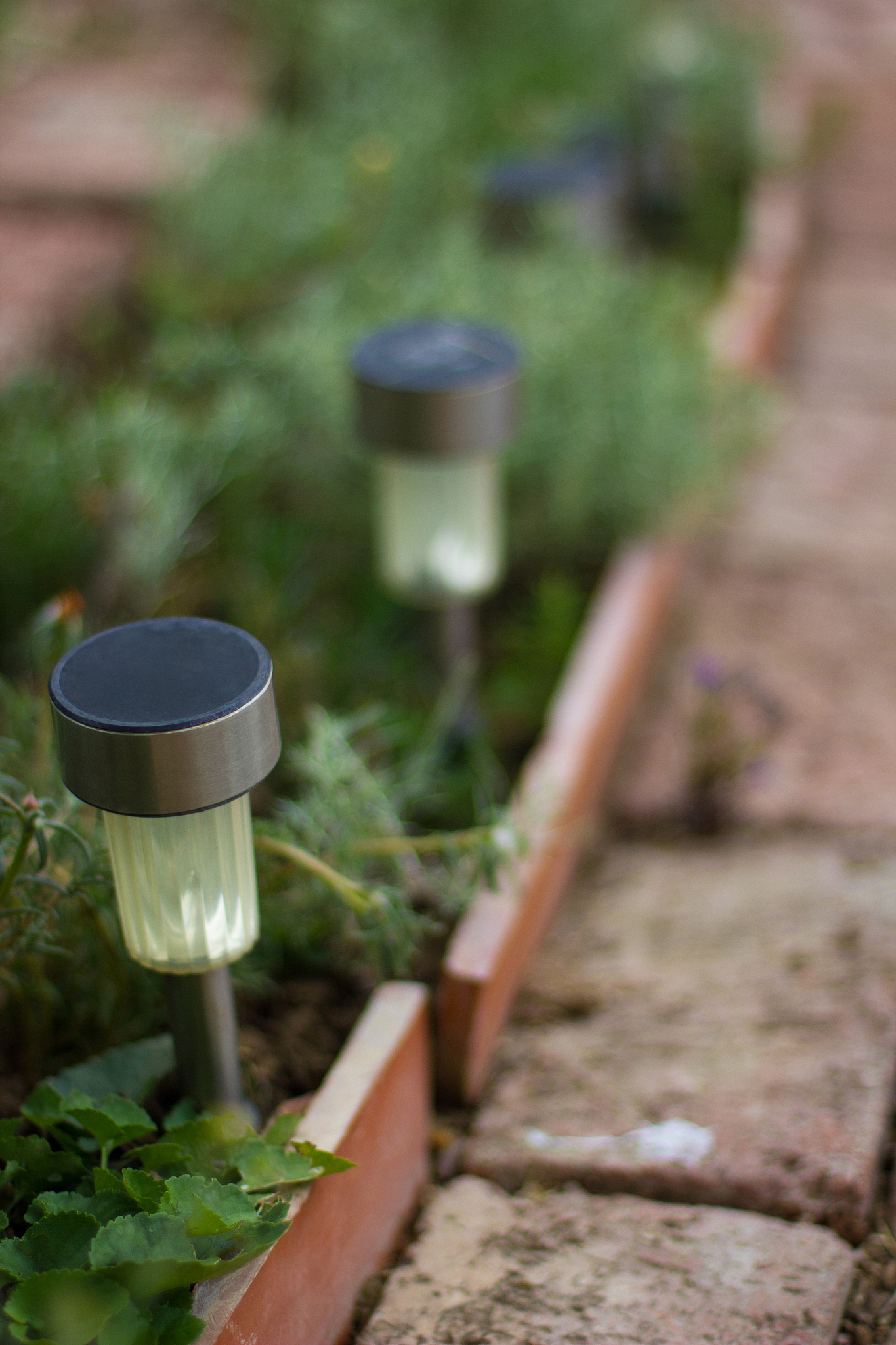 挖掘花园太阳能蜜蜂灯装饰灯的相关词