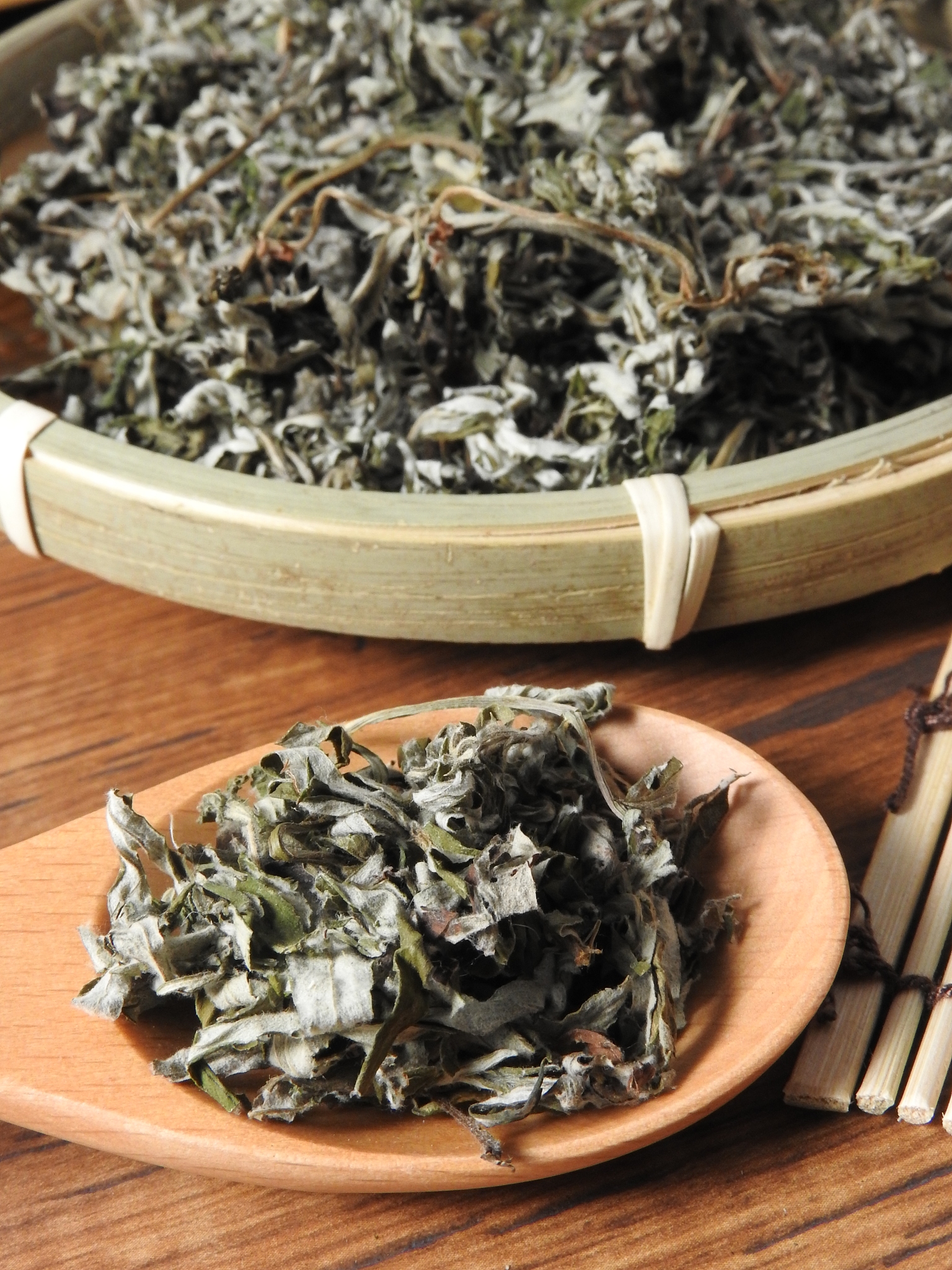 重庆的卫校可以学中医吗