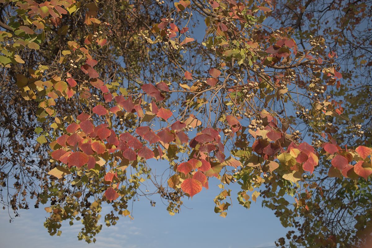 出一份七年级下数学试卷