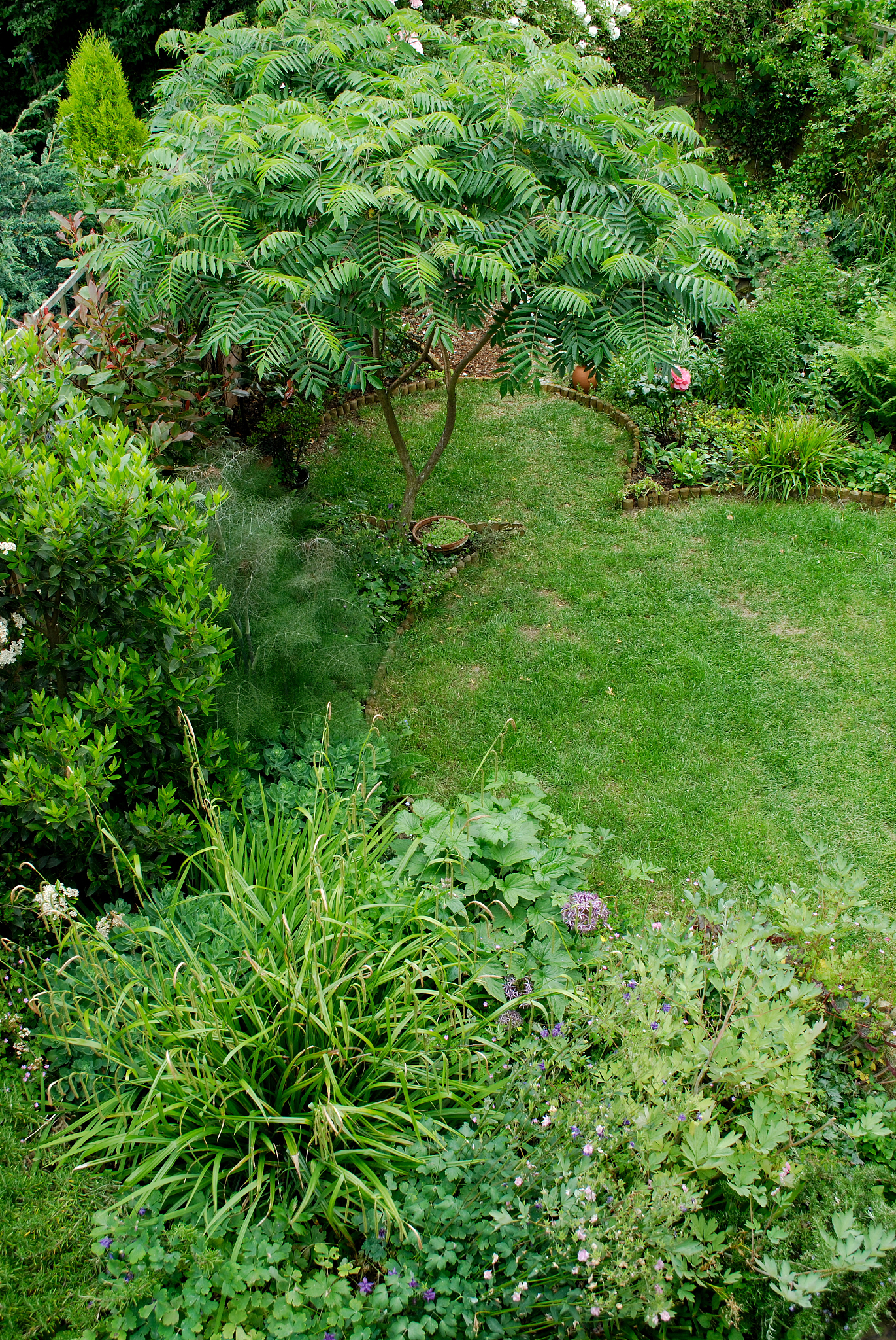 帮生成某地区的共生、互惠、竞争植物和入侵植物的数据集