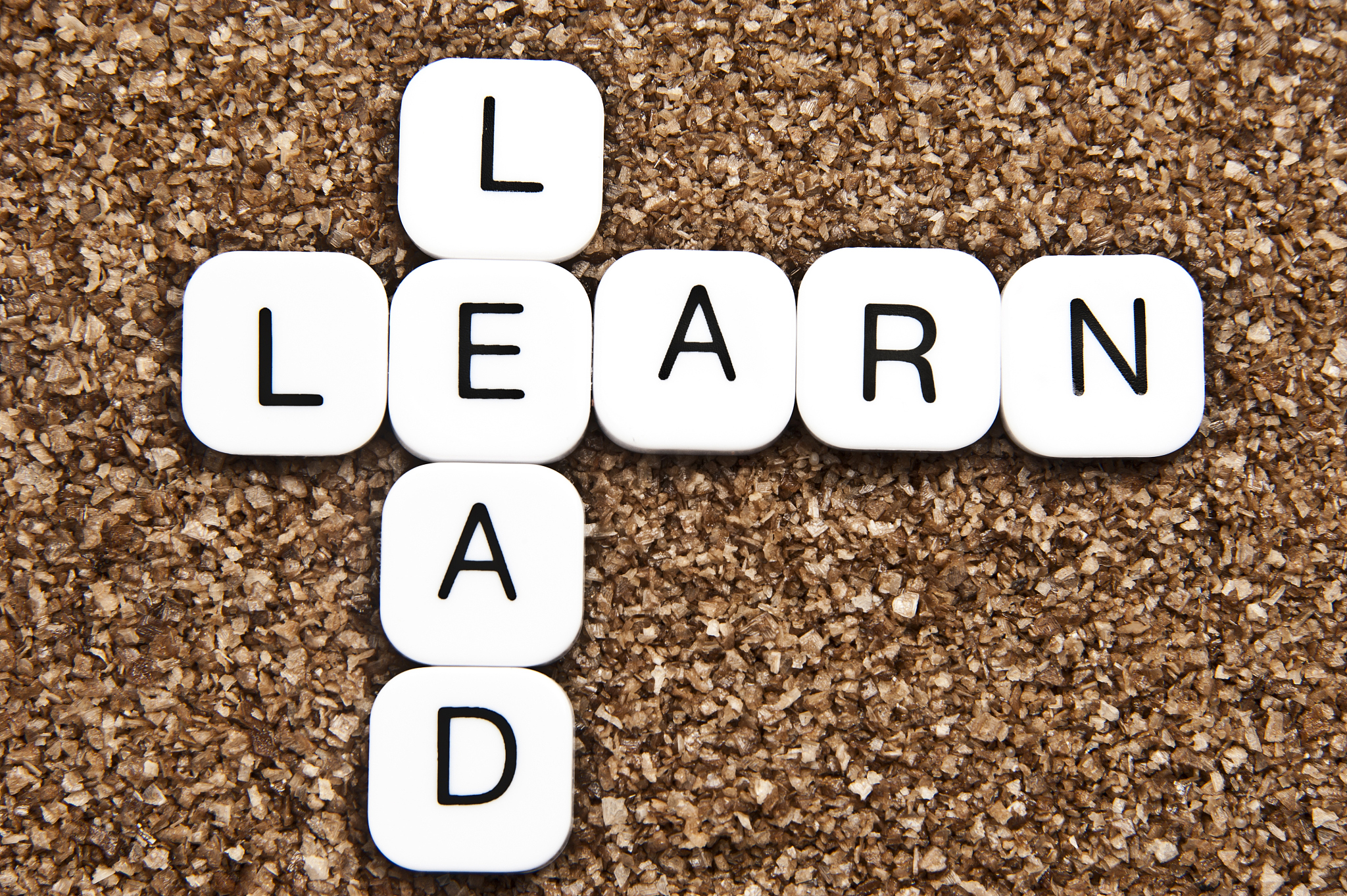 什么是知行合一