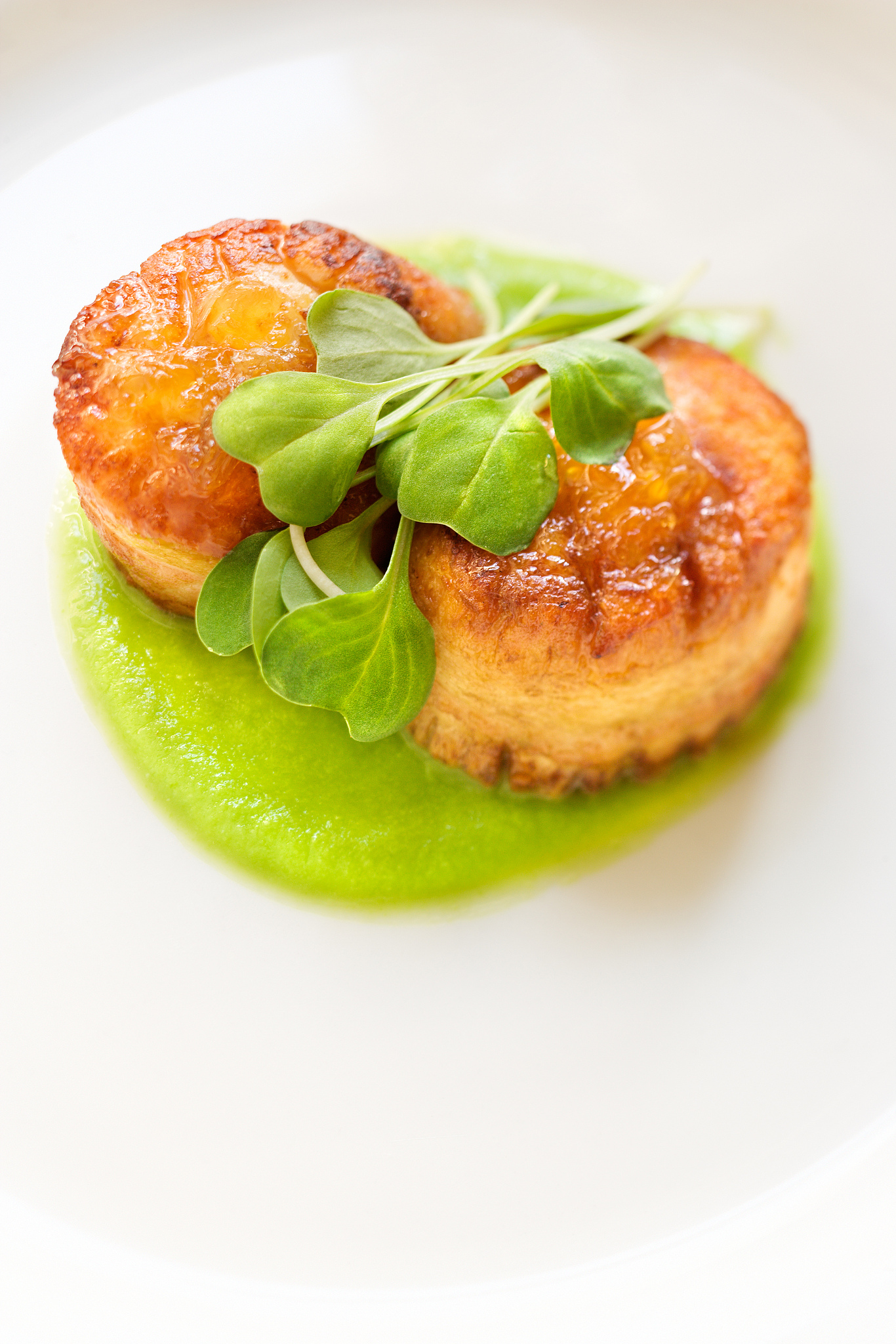 jumbo scallops wrapped in prosciutto over a fava bean puree