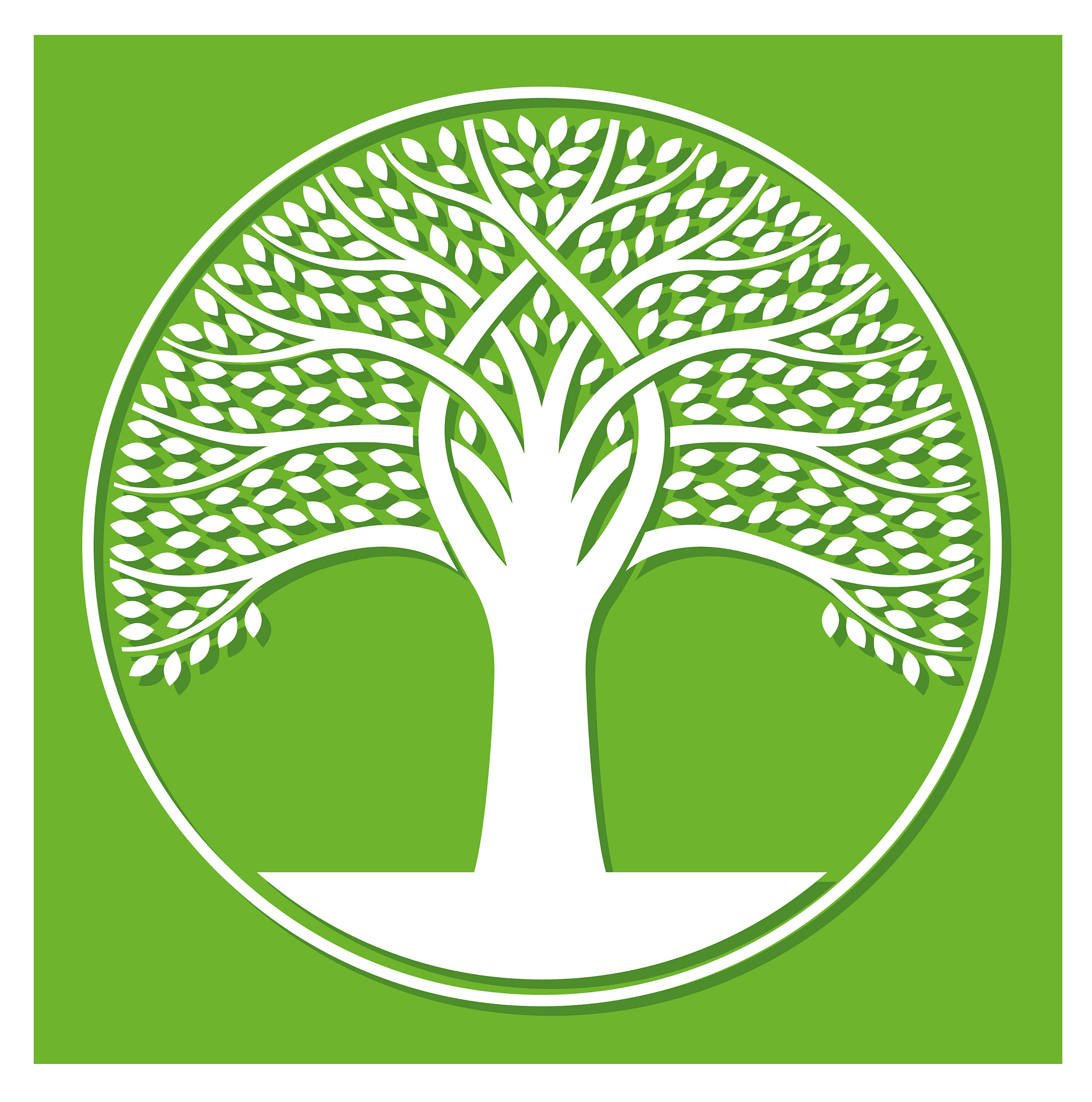 white tree and shadow illustration