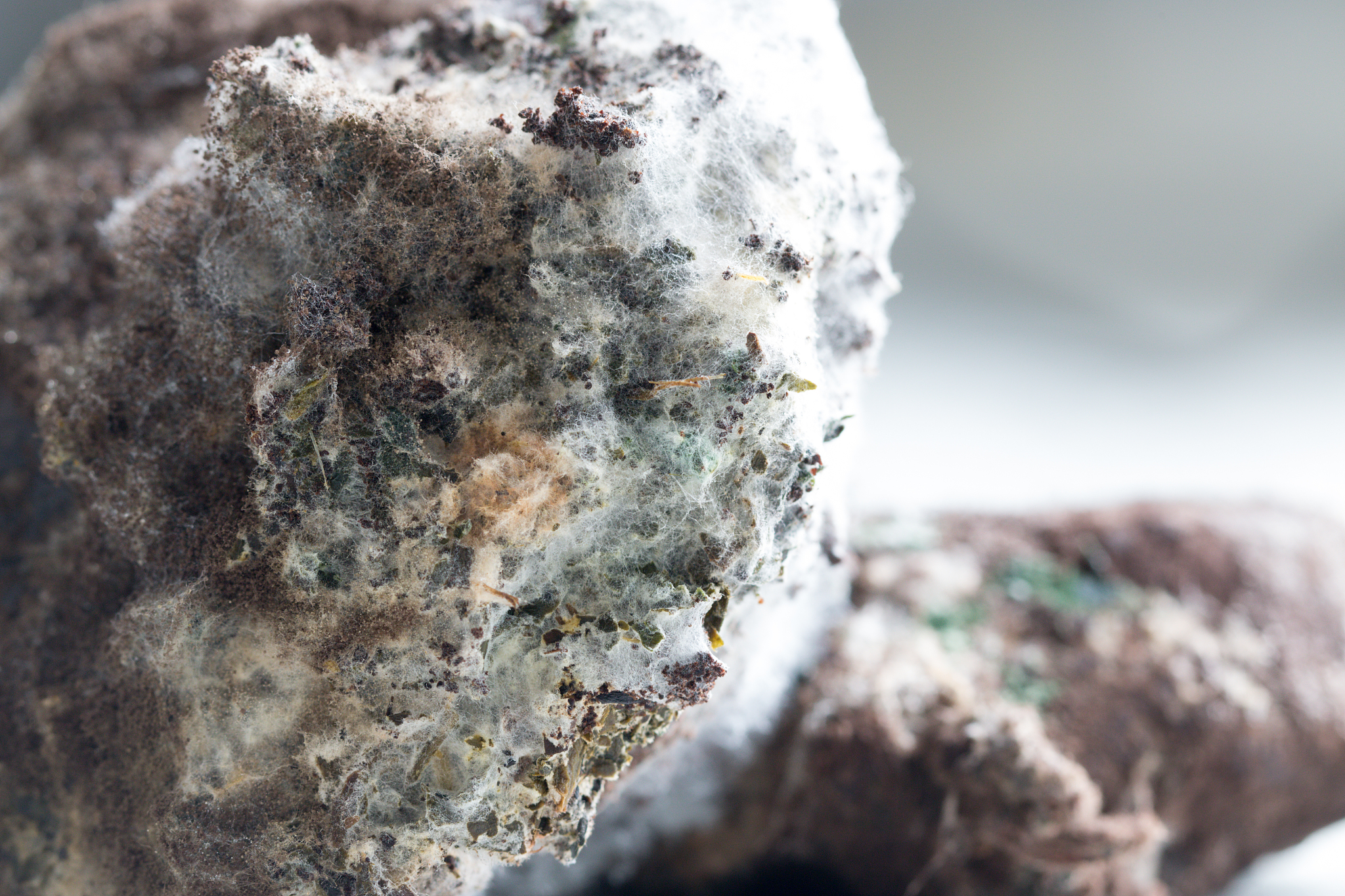 石子中的有害物质有氯盐