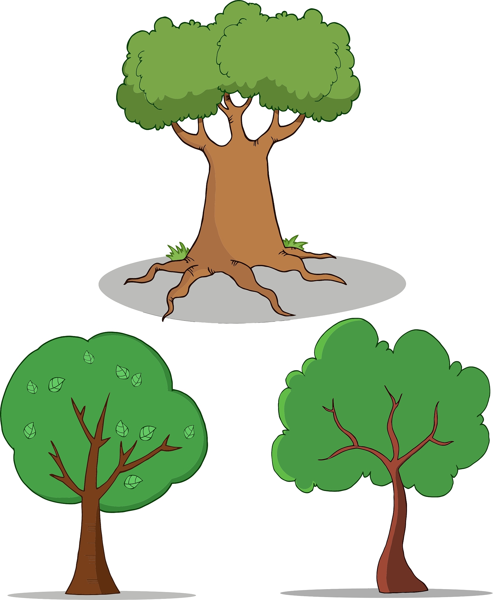 大班语言领域课程《拦路的大树》片上是一群小动物在巴士上但是巴士前面有一颗倒下的树拦住了他们的去路老师询问小朋友们观察到了什么随后让幼儿给小动物们想办法分组进行讨论并上前分享观察研究实施报告