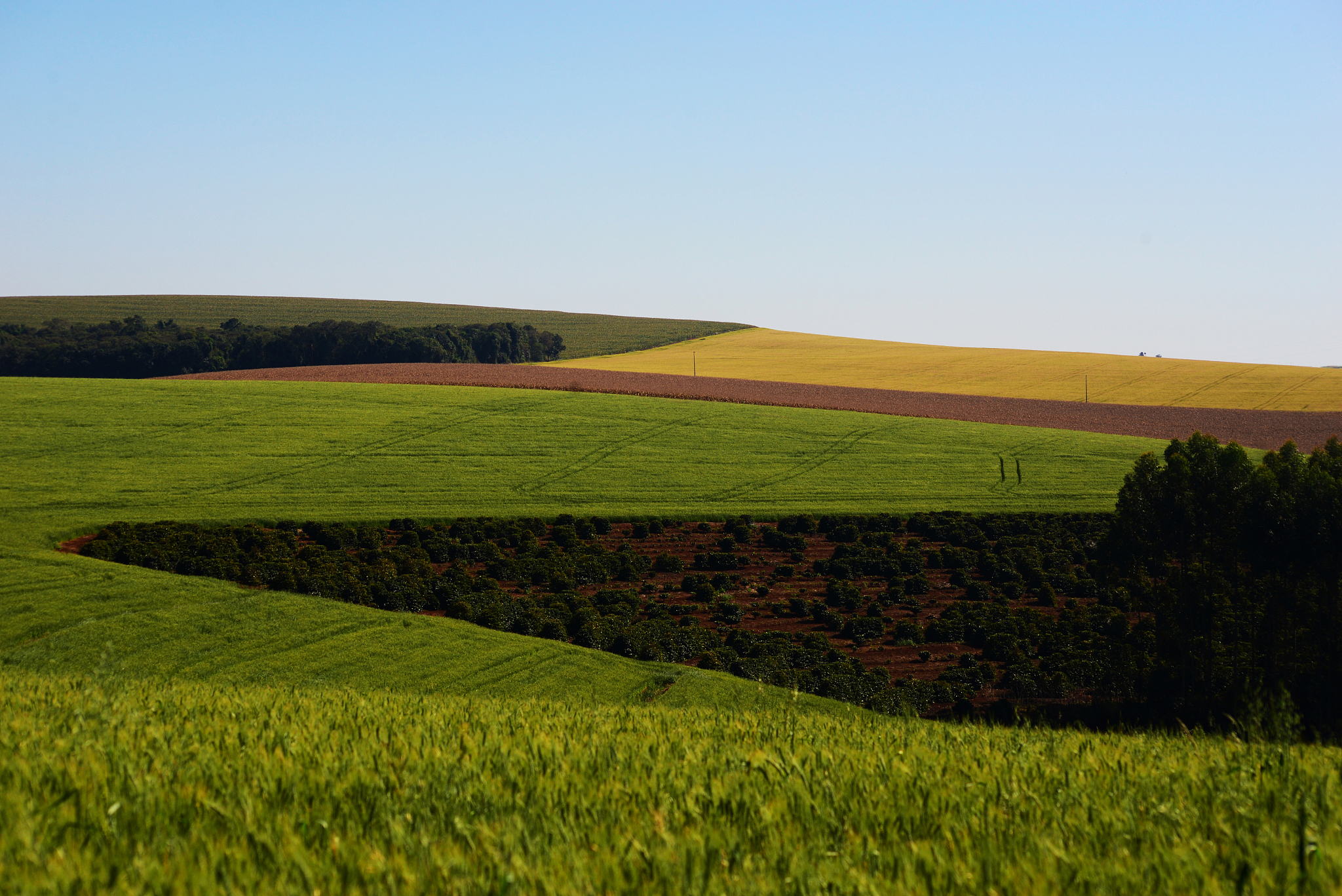 agriculture farm