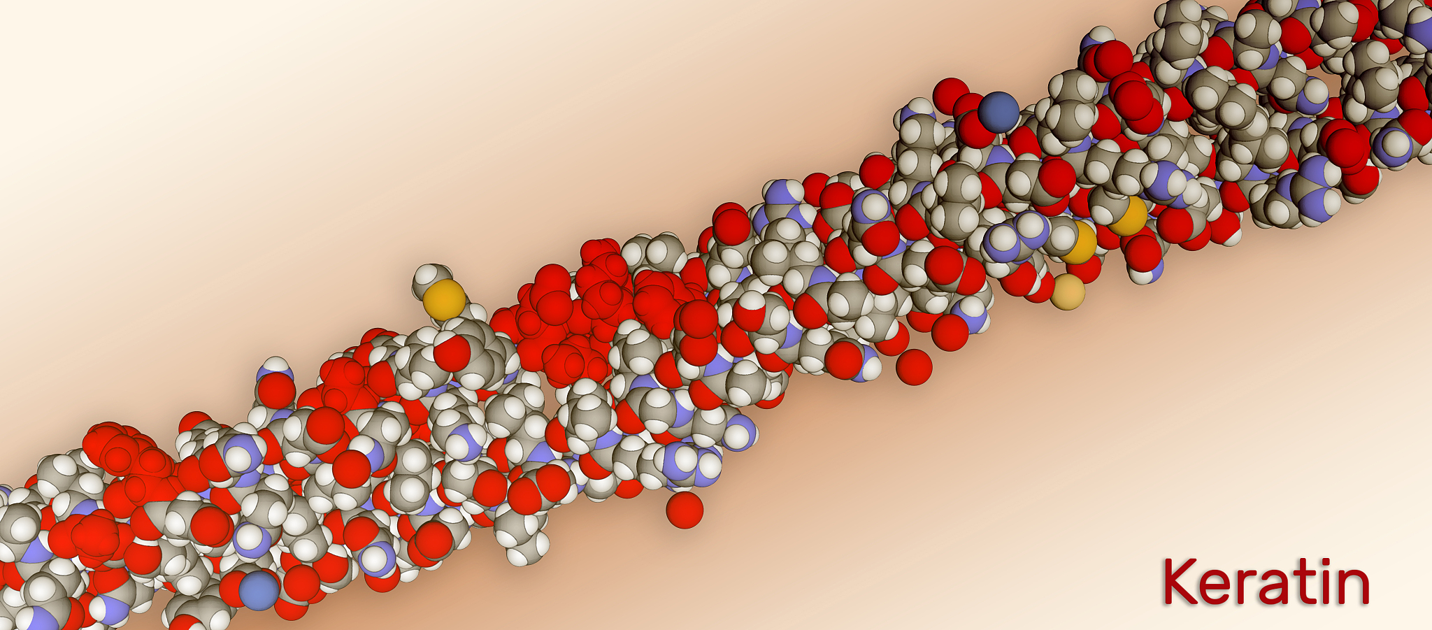 structure of intermediate filaments of keratin protein. it is on