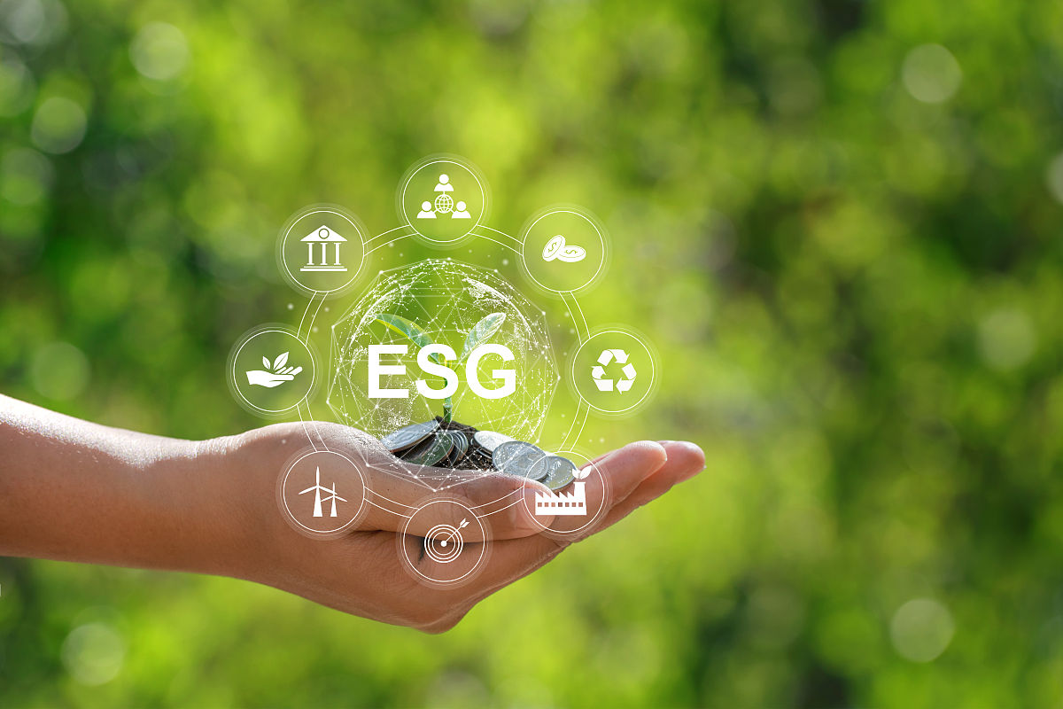 数字普惠金融与企业绿色创新协同促进经济可持续发展