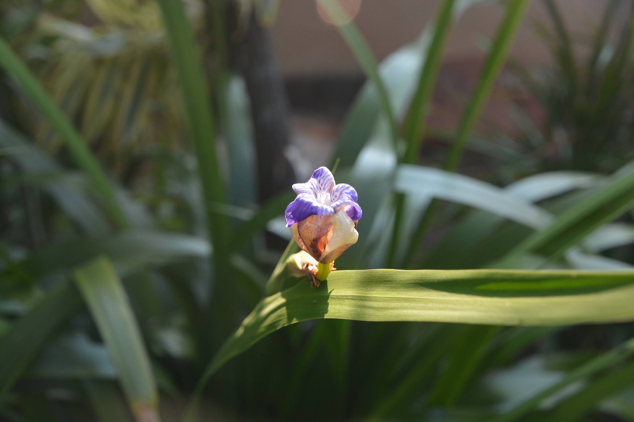 photo by: arep
