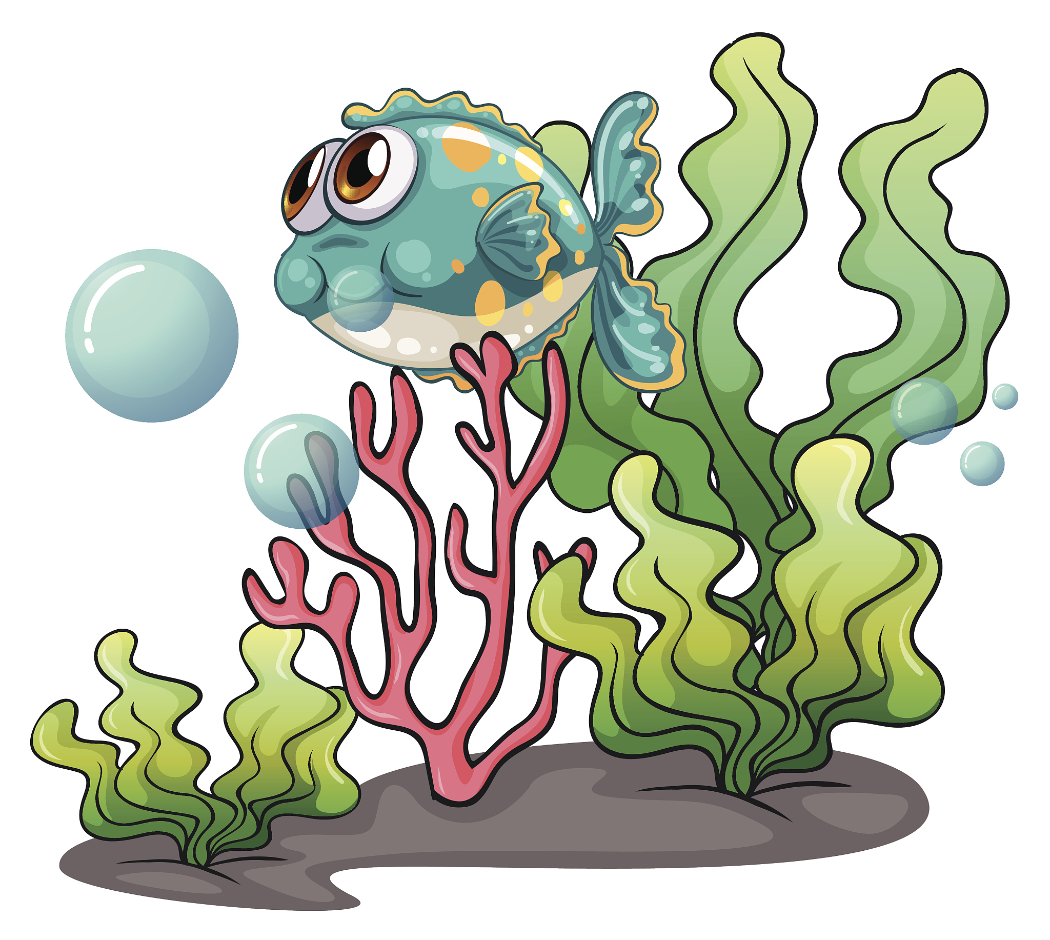 fish under the sea near the seaweeds