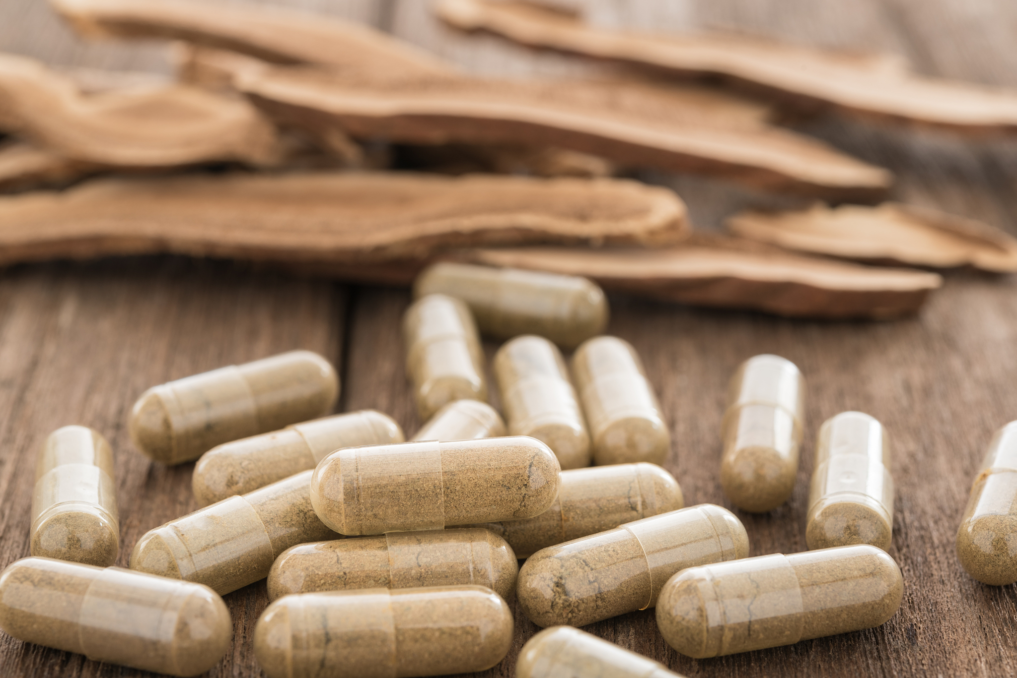 lingzhi mushroom, herb capsule