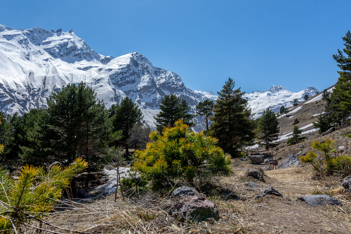 邯郸经济管理中等专业学校新能源汽车维修专业怎么样？