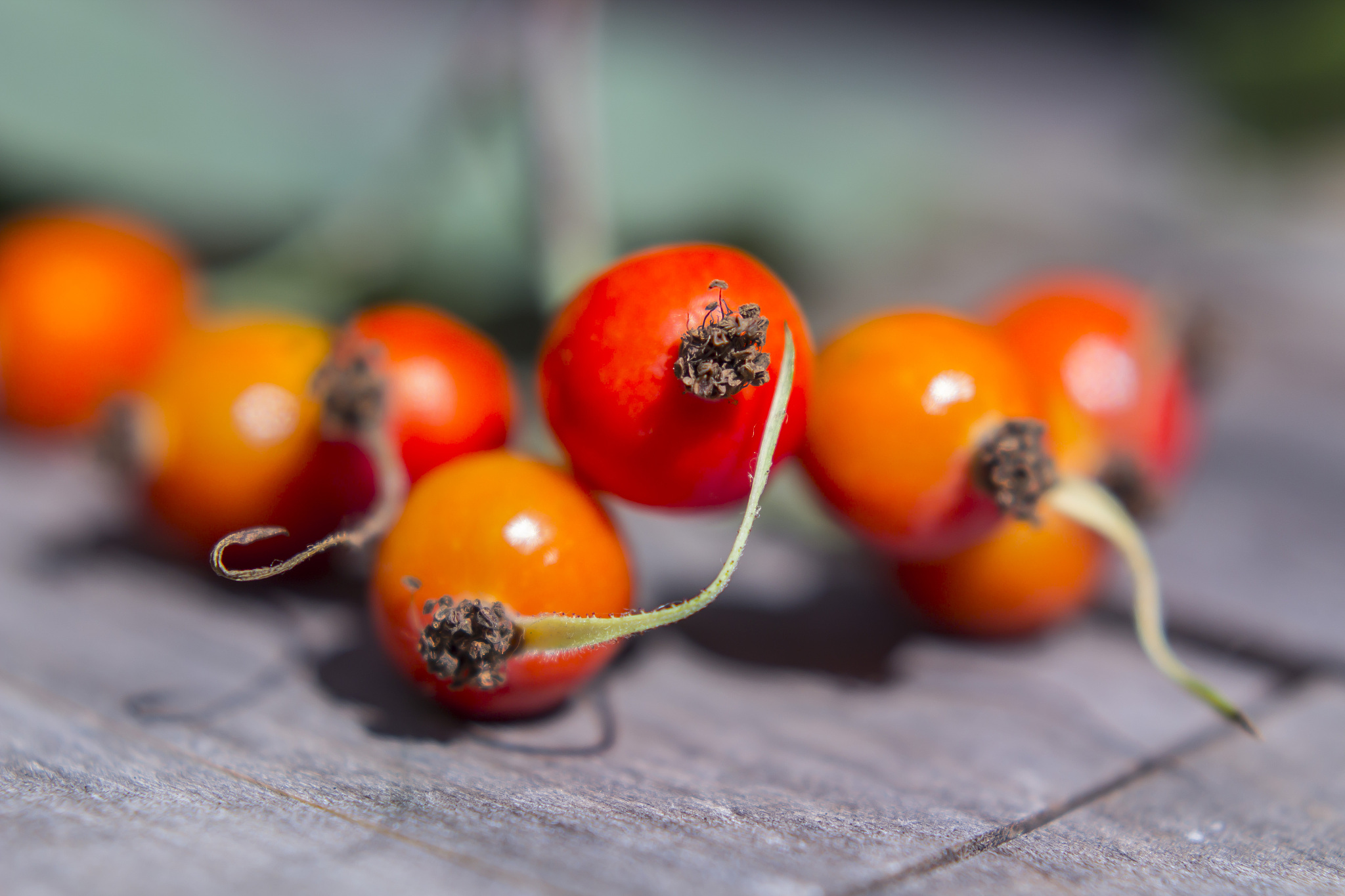 十二星座专属精酿啤酒推荐：你的星座适合喝什么？
