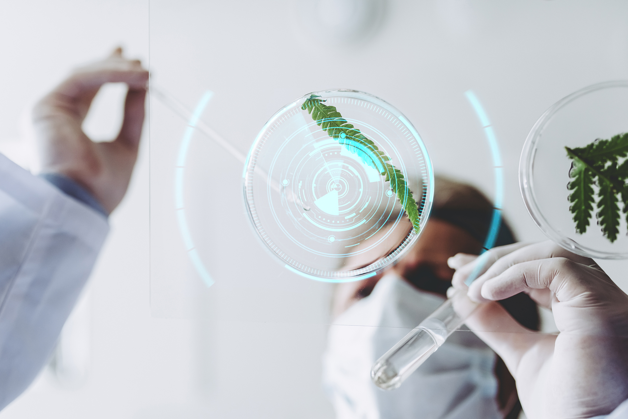 laboratory scientist working.