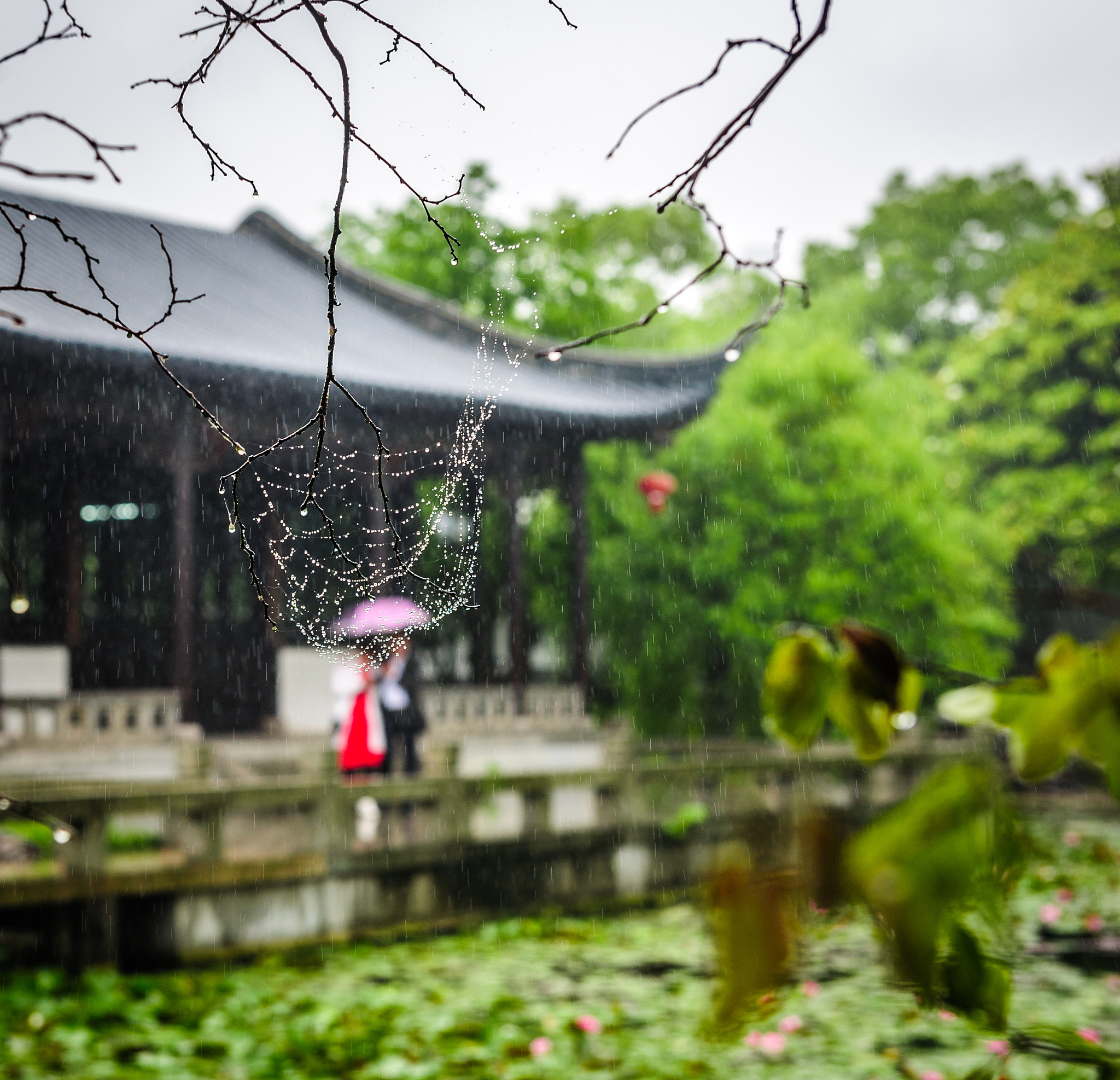 魅族20Pro镜头下的莒县古城：微雨朦胧，古韵悠然
