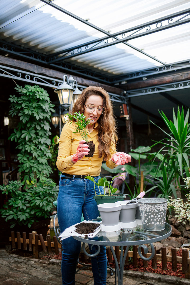 辽宁水利职业学院园艺技术专业就业方向：未来发展趋势与就业前景