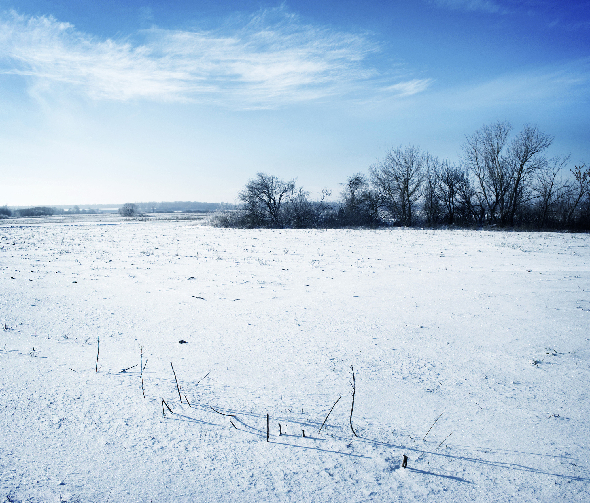 Challenging Conventional Wisdom: Six-Year Field Experiment in North China Plain's Rotation System