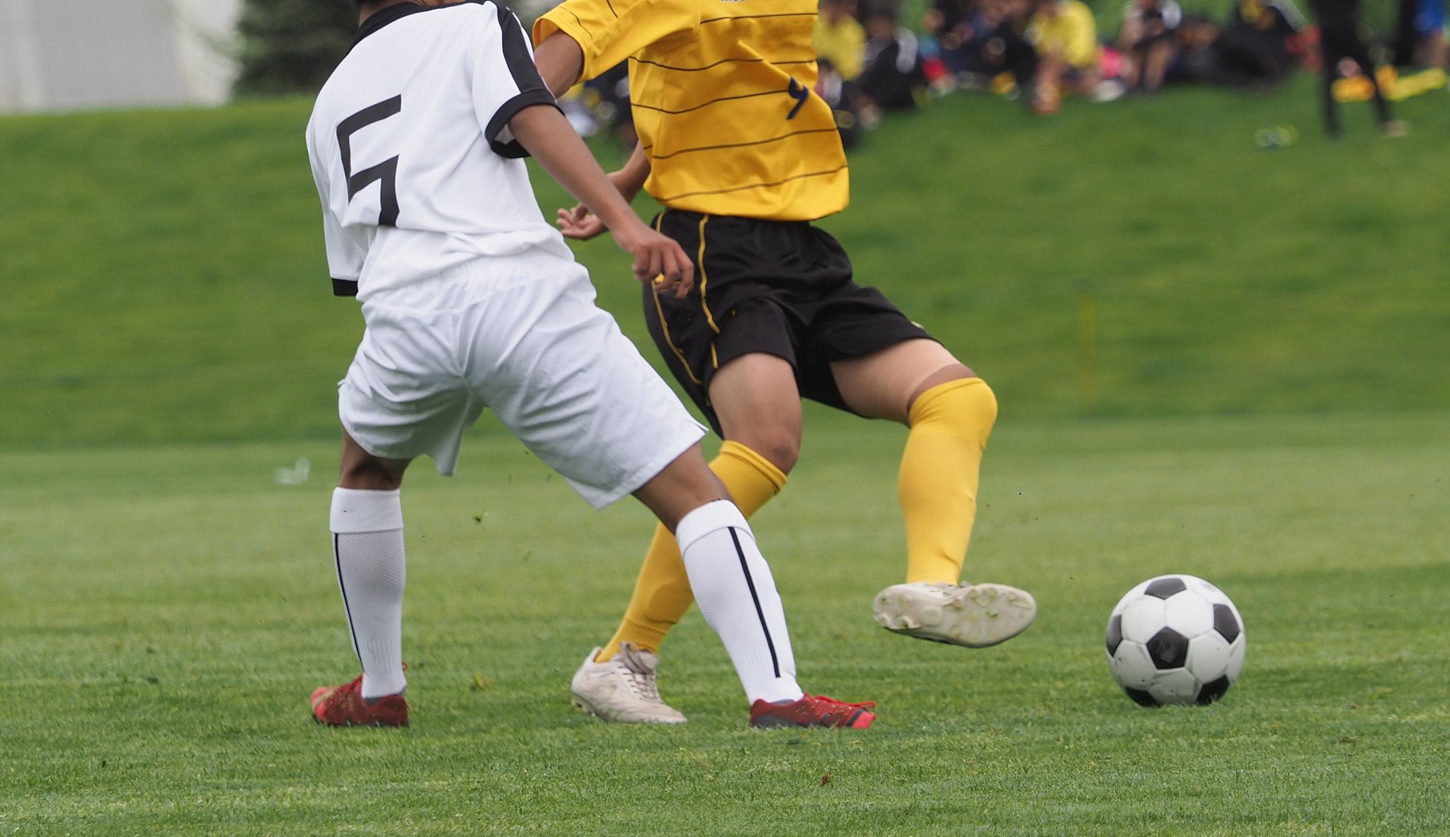 soccer