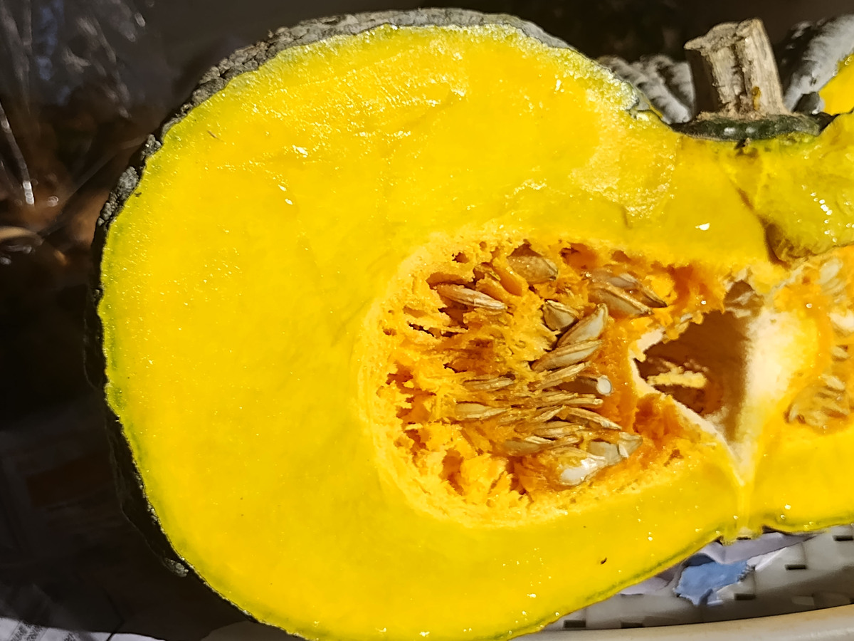 哈密瓜有点烂还能吃吗？如何判断？