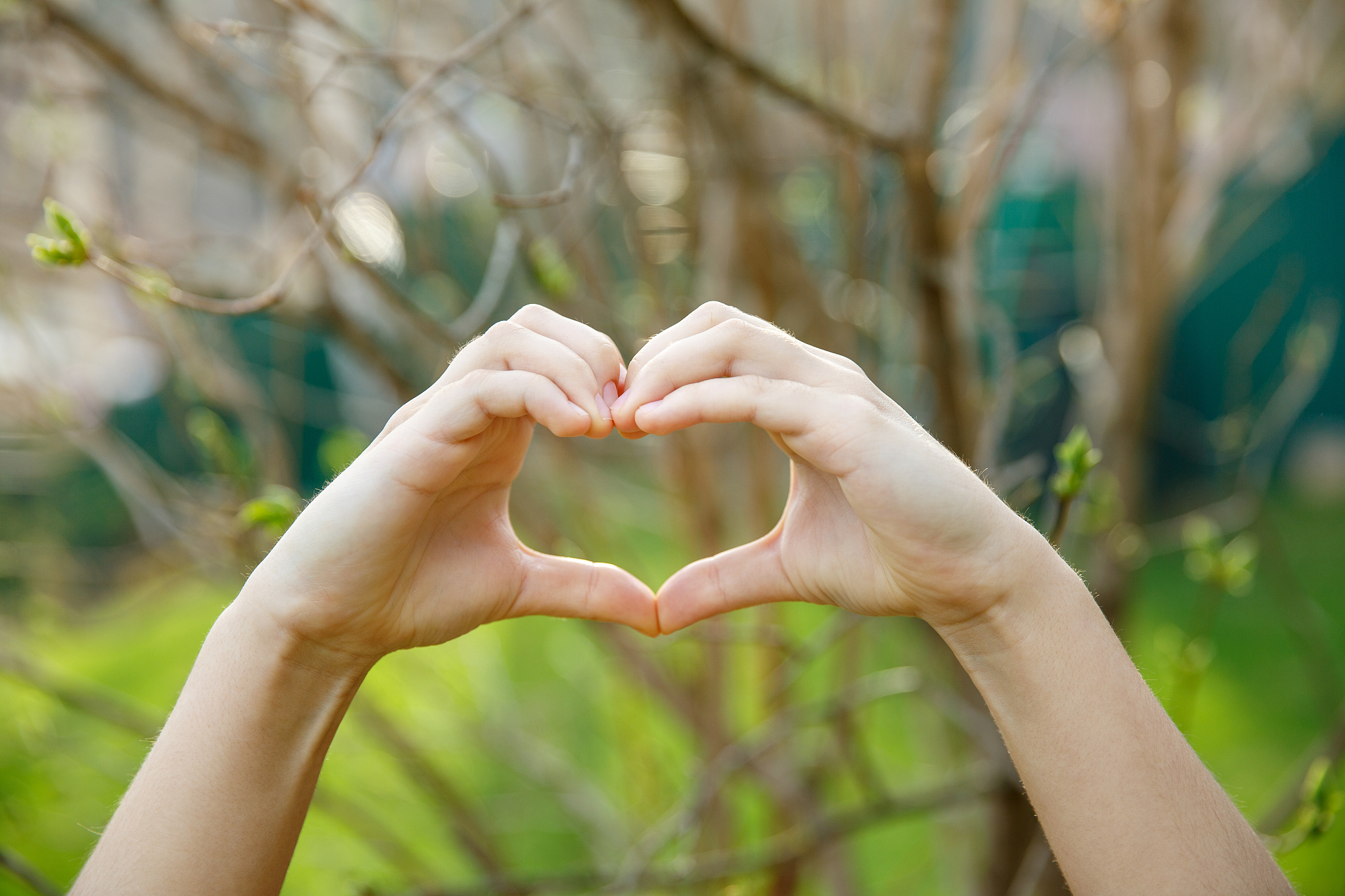 相互慰籍什么意思