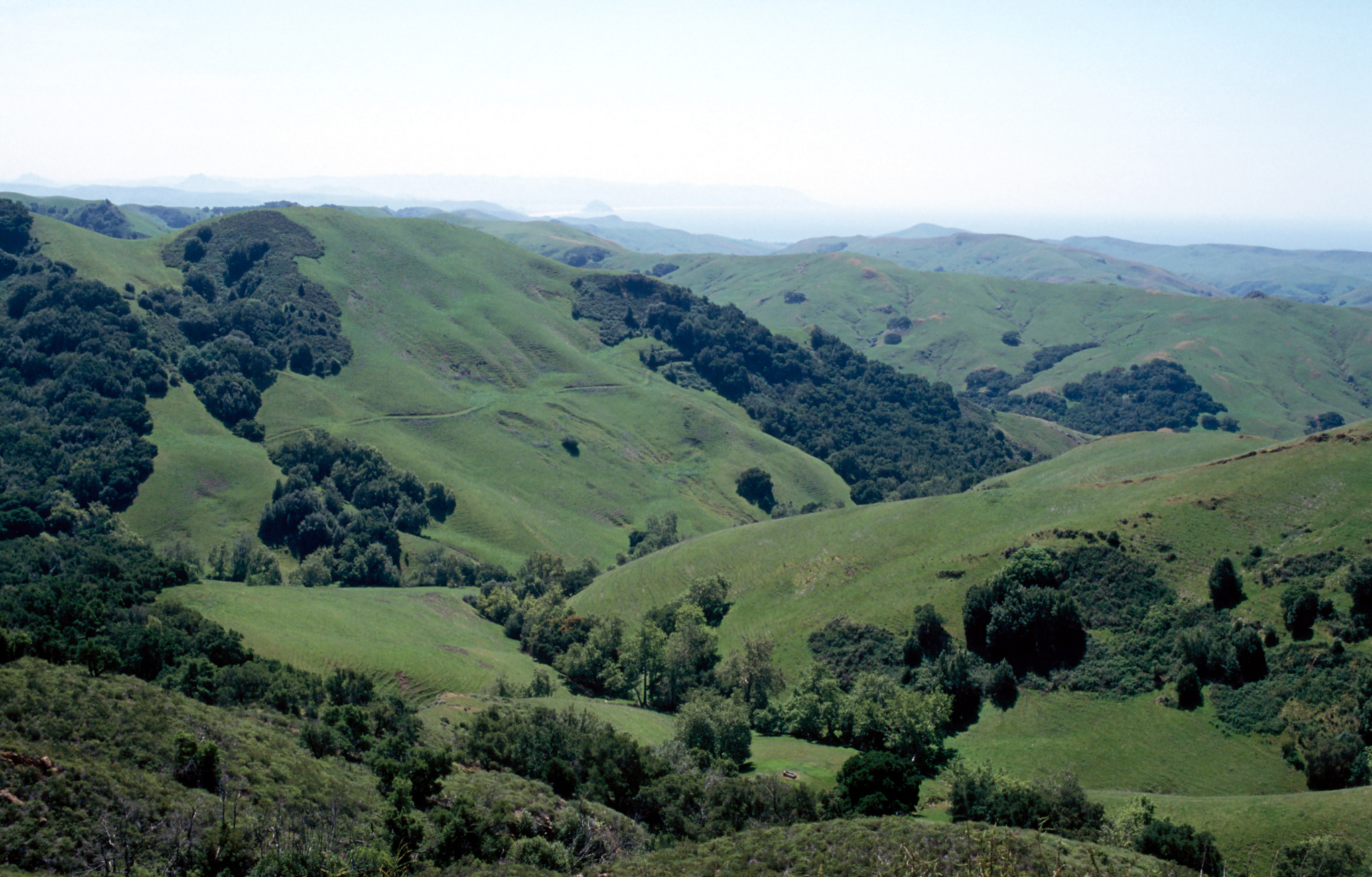 green valley