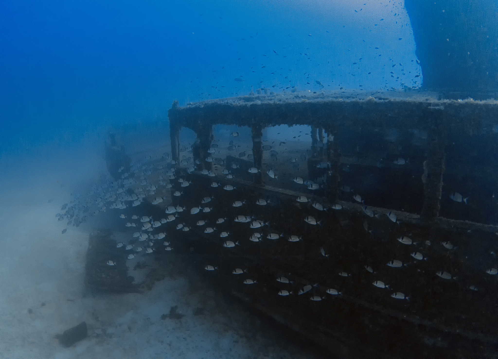 the wreck of the mv imperial eagle in malta