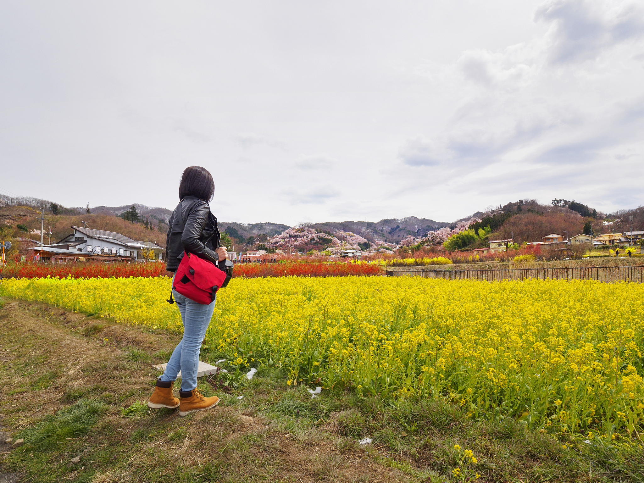 tourist in spring time japan.