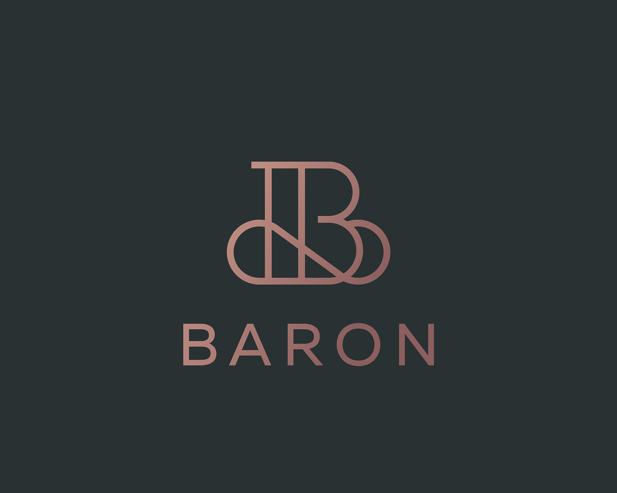 elegant line curve logotype premium letter