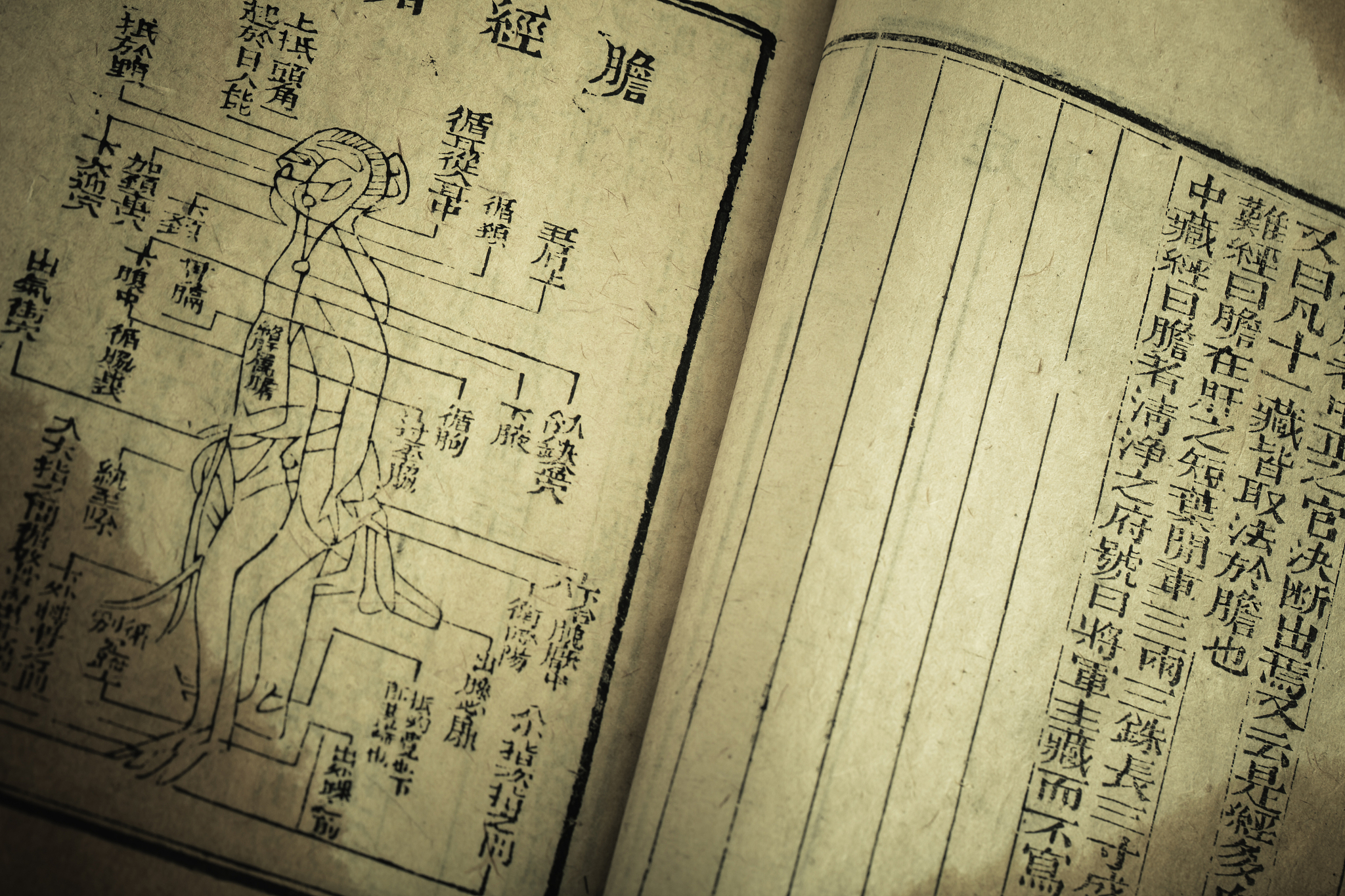 中医养生方：脉象辨痰饮，导引法排病