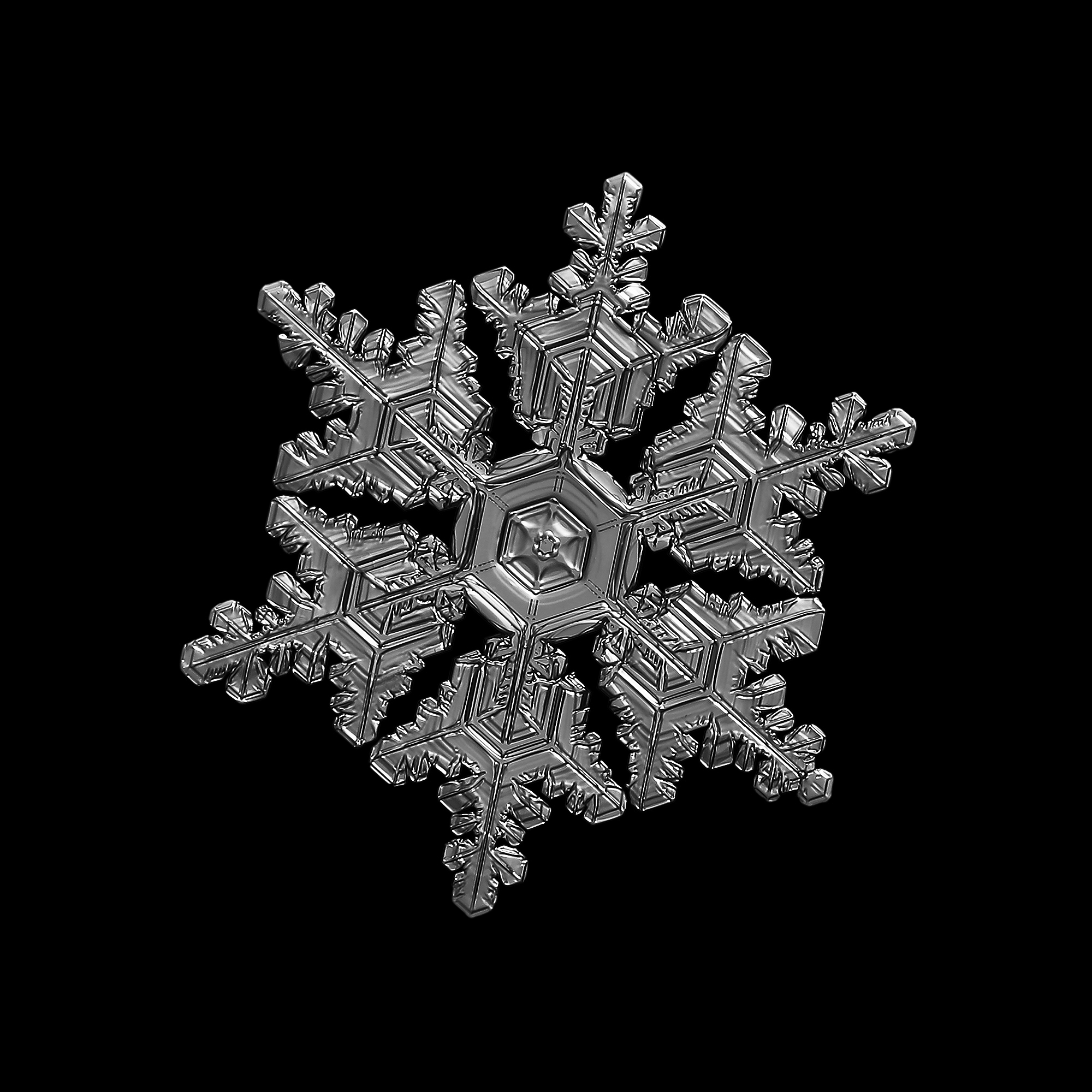 树枝晶的形状与尺寸特点解析：影响因素及分析