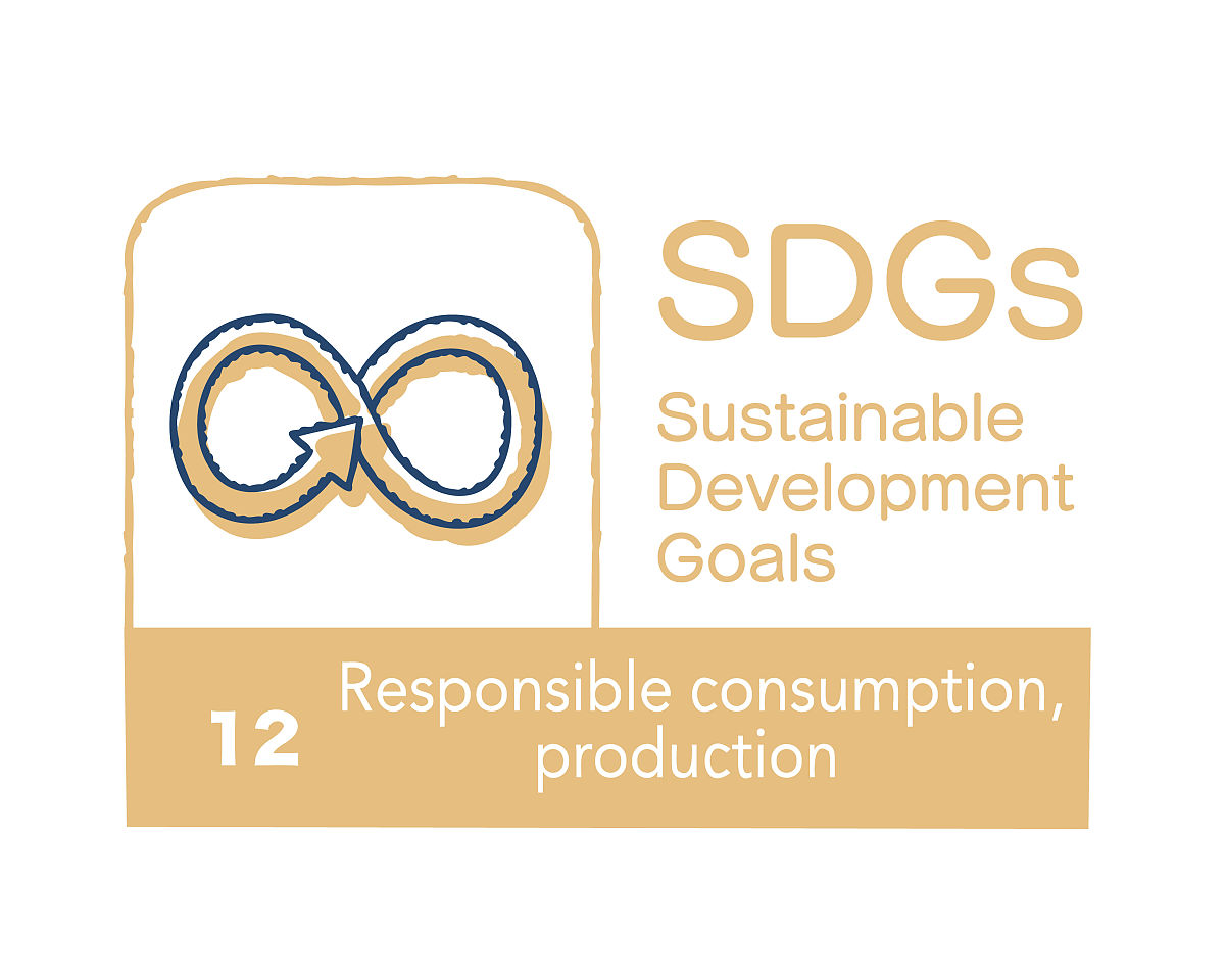 优化儋州市中小企业发展环境，助力经济社会可持续发展