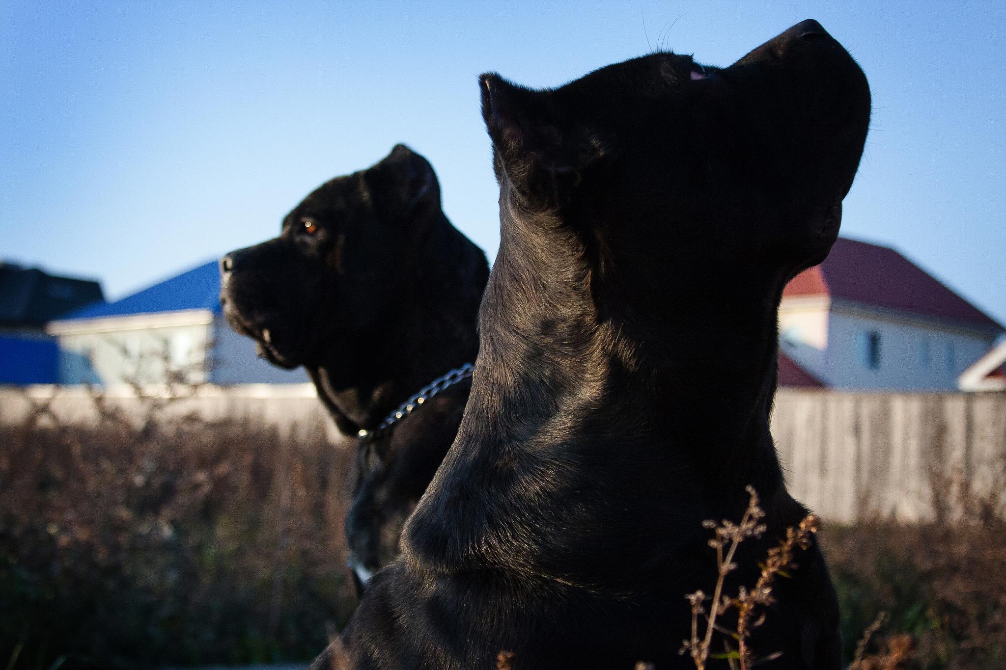 天津农学院生物工程专业怎么样