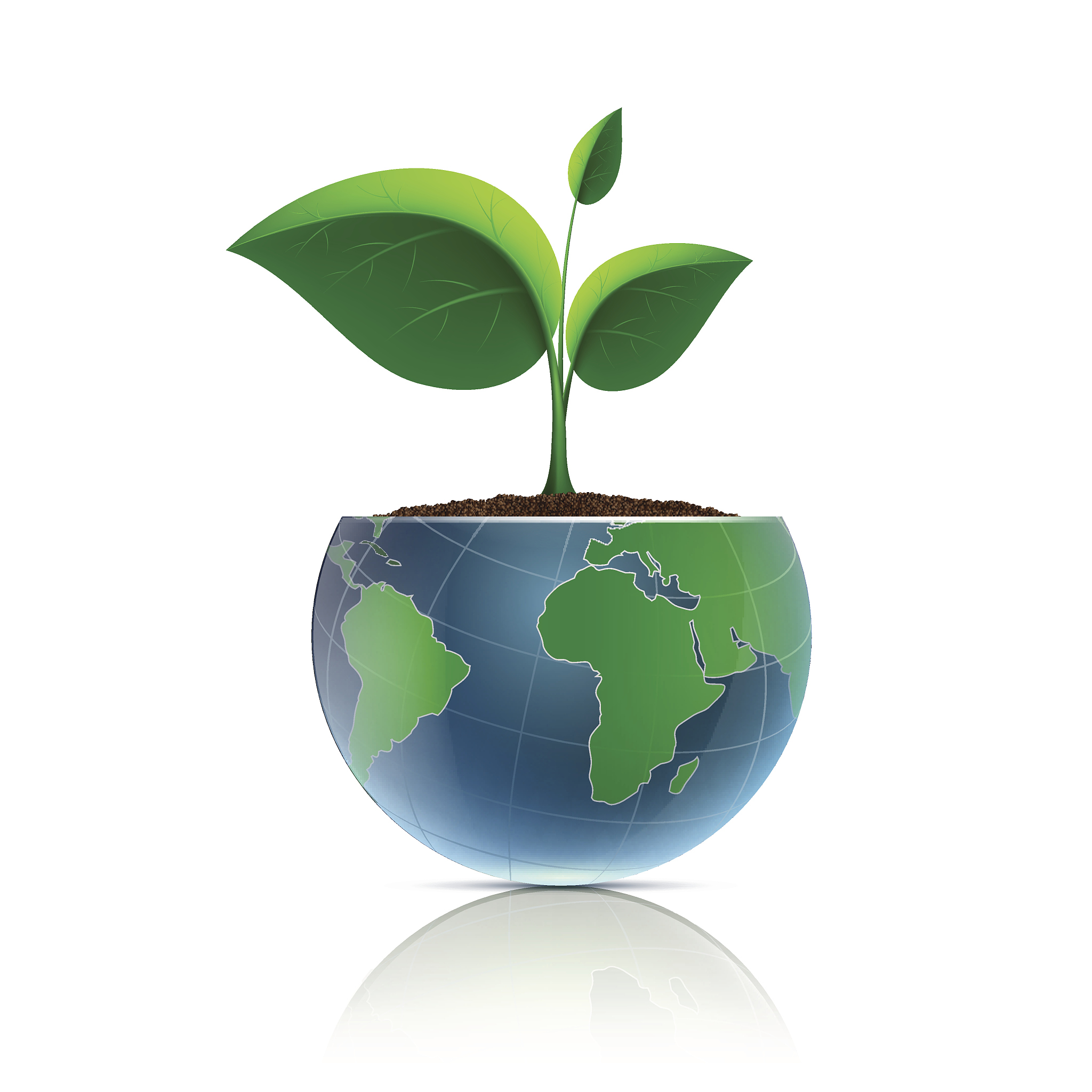 flower pot in the form of the planet earth.