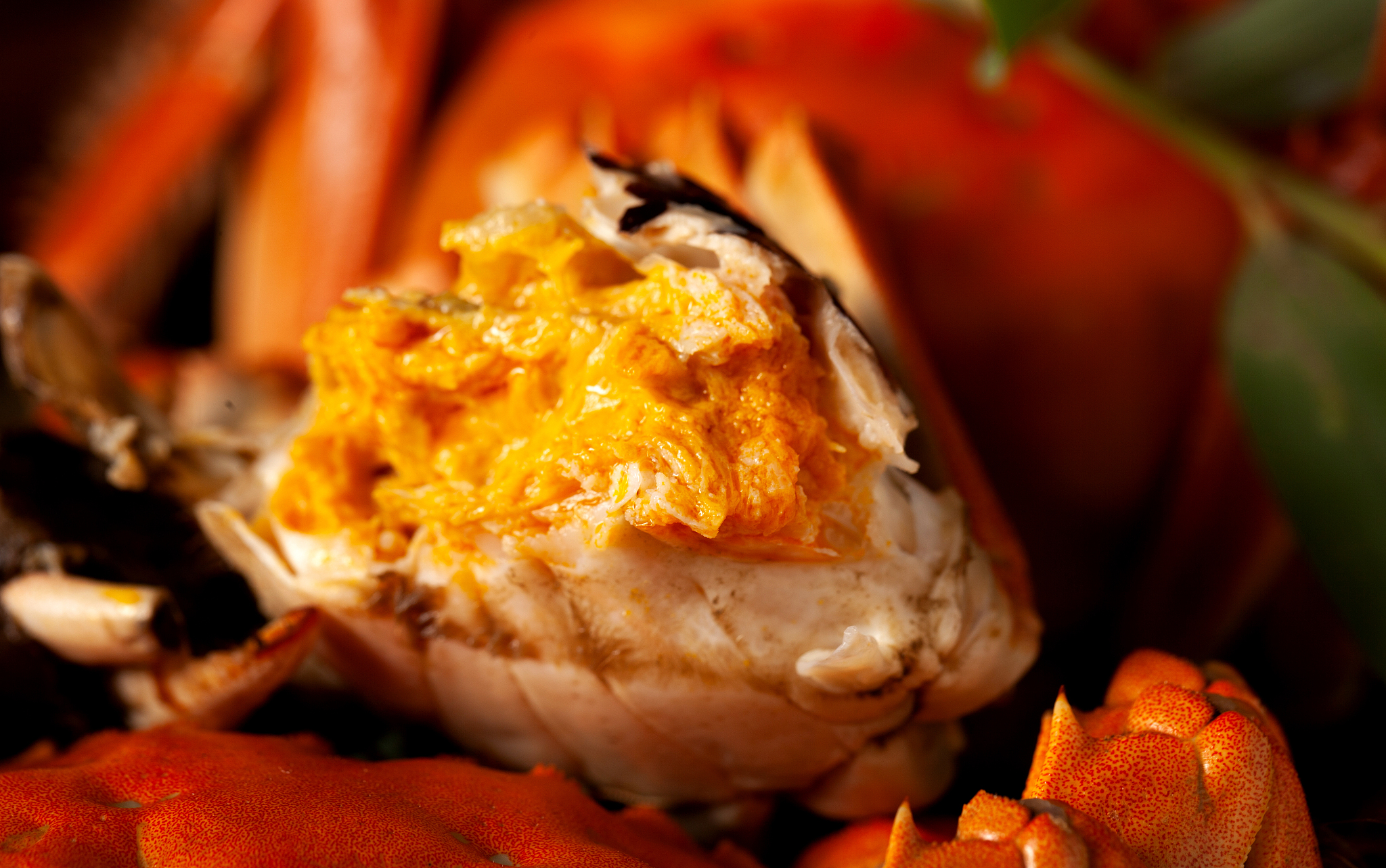 阳澄湖大闸蟹开捕啦！鲜美蟹黄等你品尝