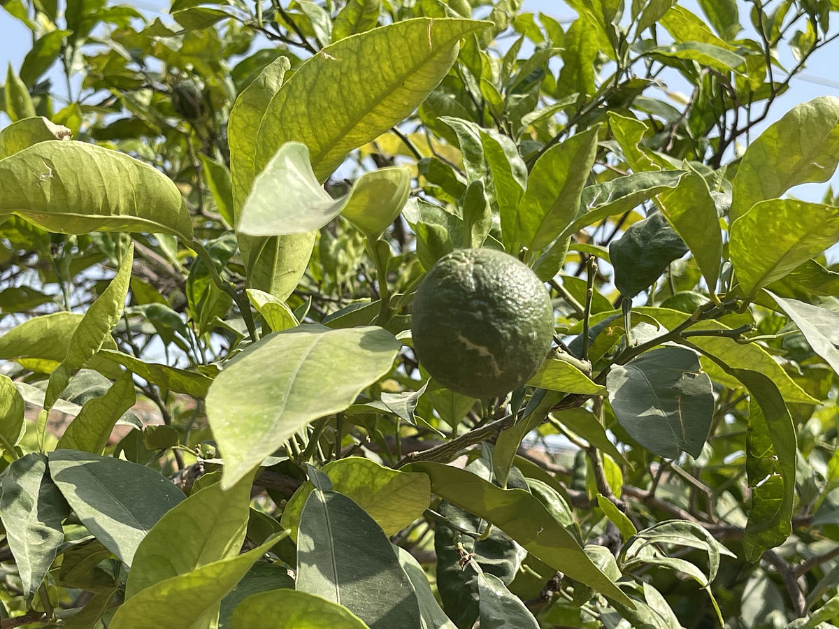 临沂职业学院环境怎么样？设施齐全，注重环保和学生健康