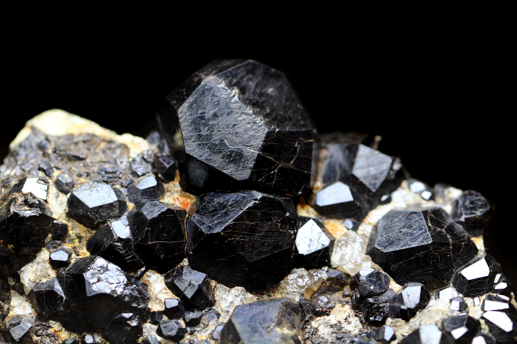 最好的中国深圳的初一各科学习方法