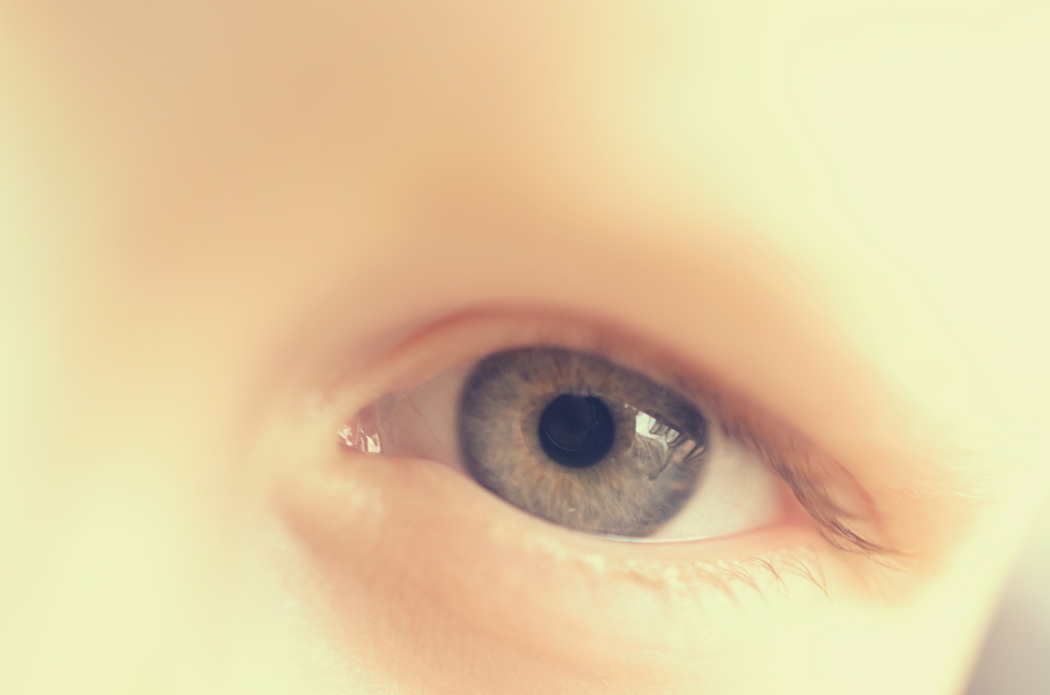 blue eyes of a close-up boy look straight and in the side.