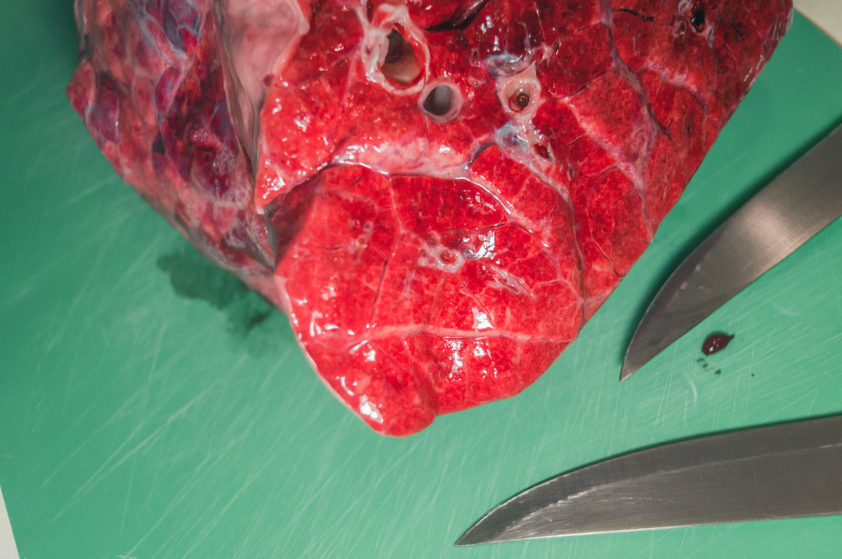 动物内脏热量表：营养价值与健康建议