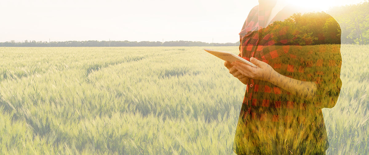 生活拾穗：如何在平凡中发现美好