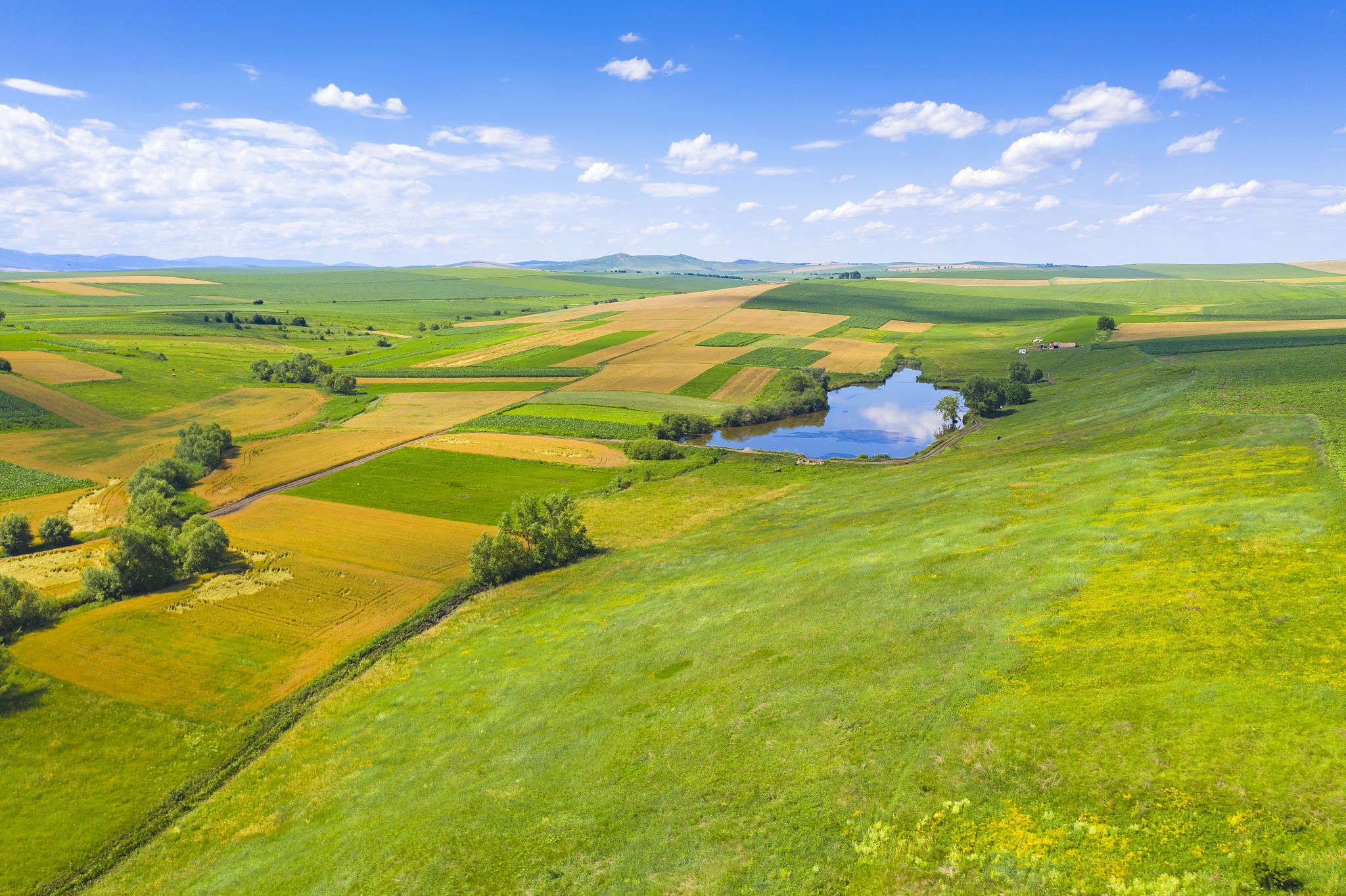 aerial view of summer fields in rural scene