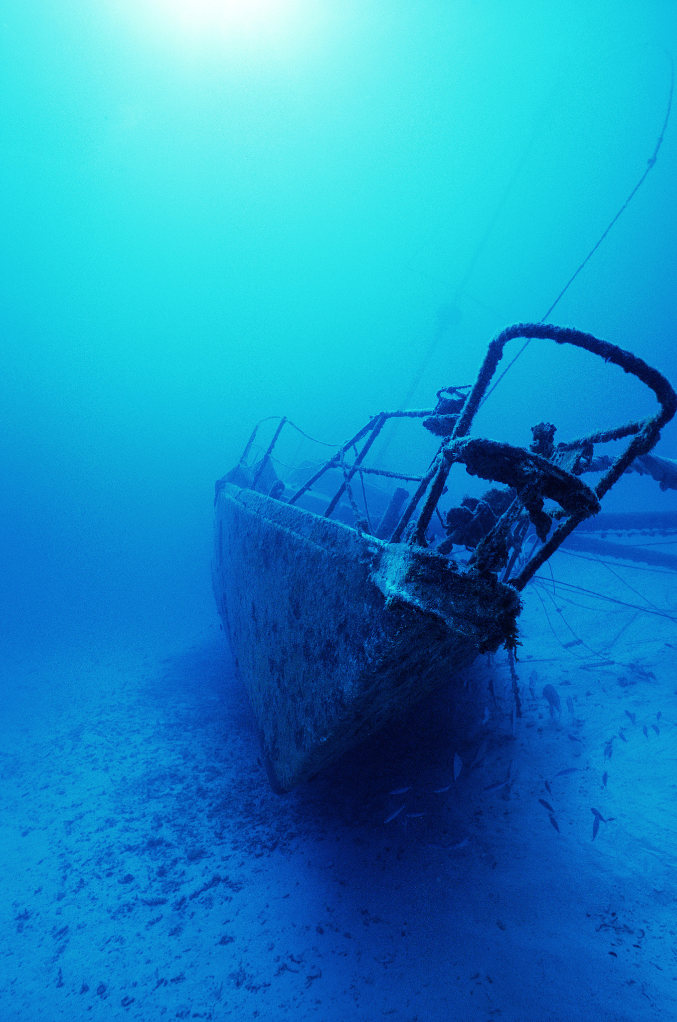 australia, queensland, great barrier reef, wreck of lady elliot 