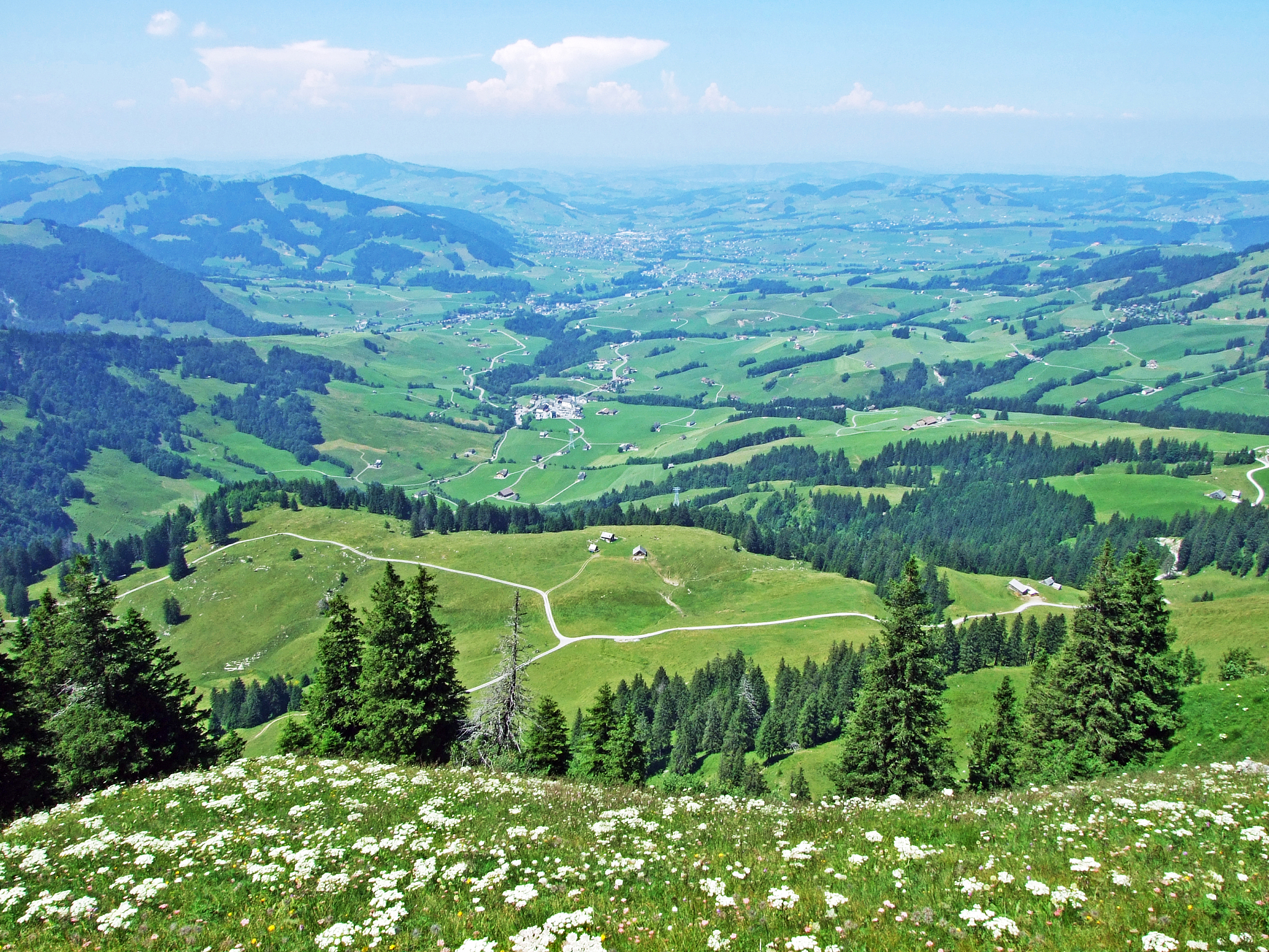 力量举德州计划：促进健康和经济繁荣