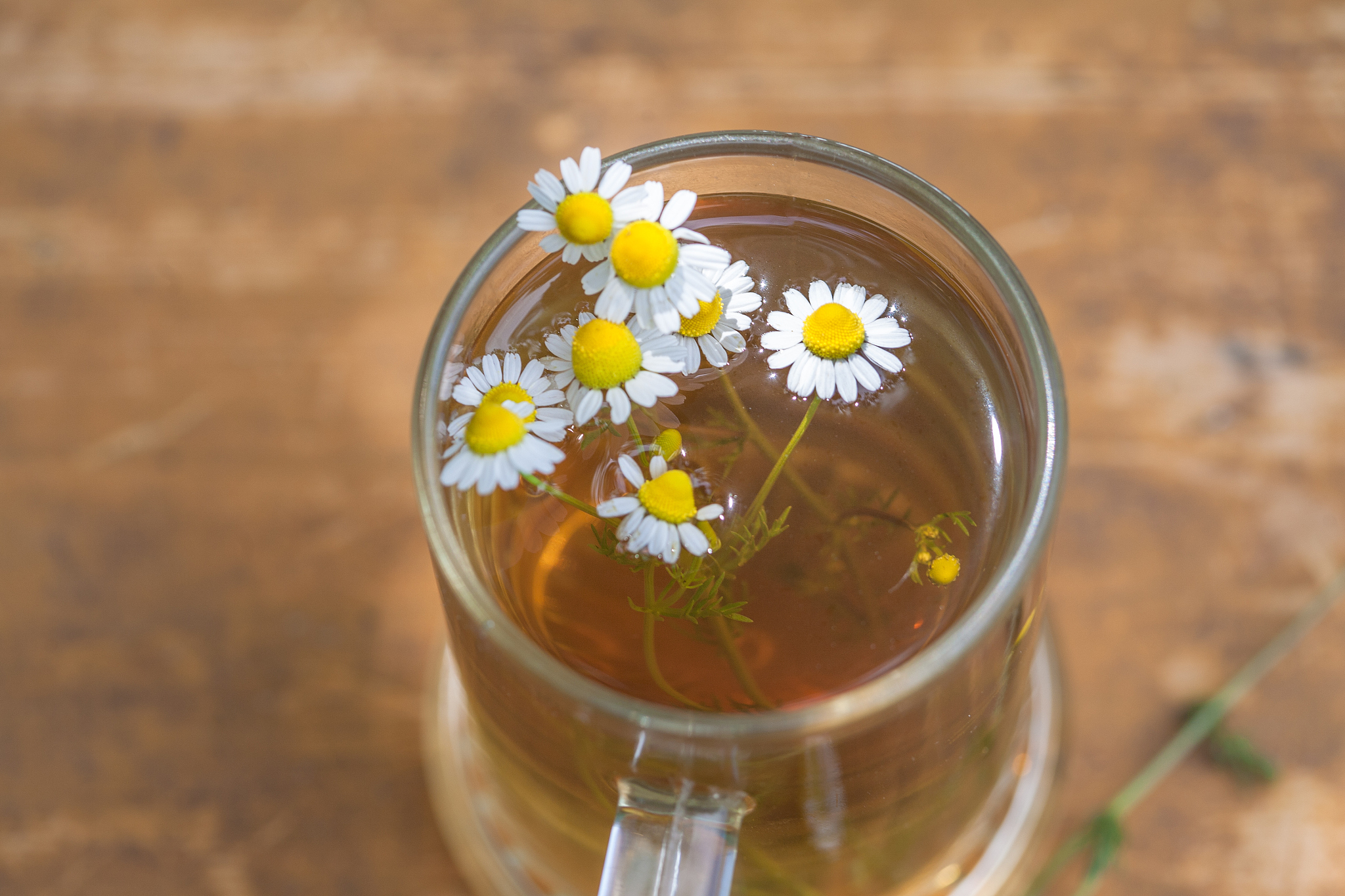 chamomile tea