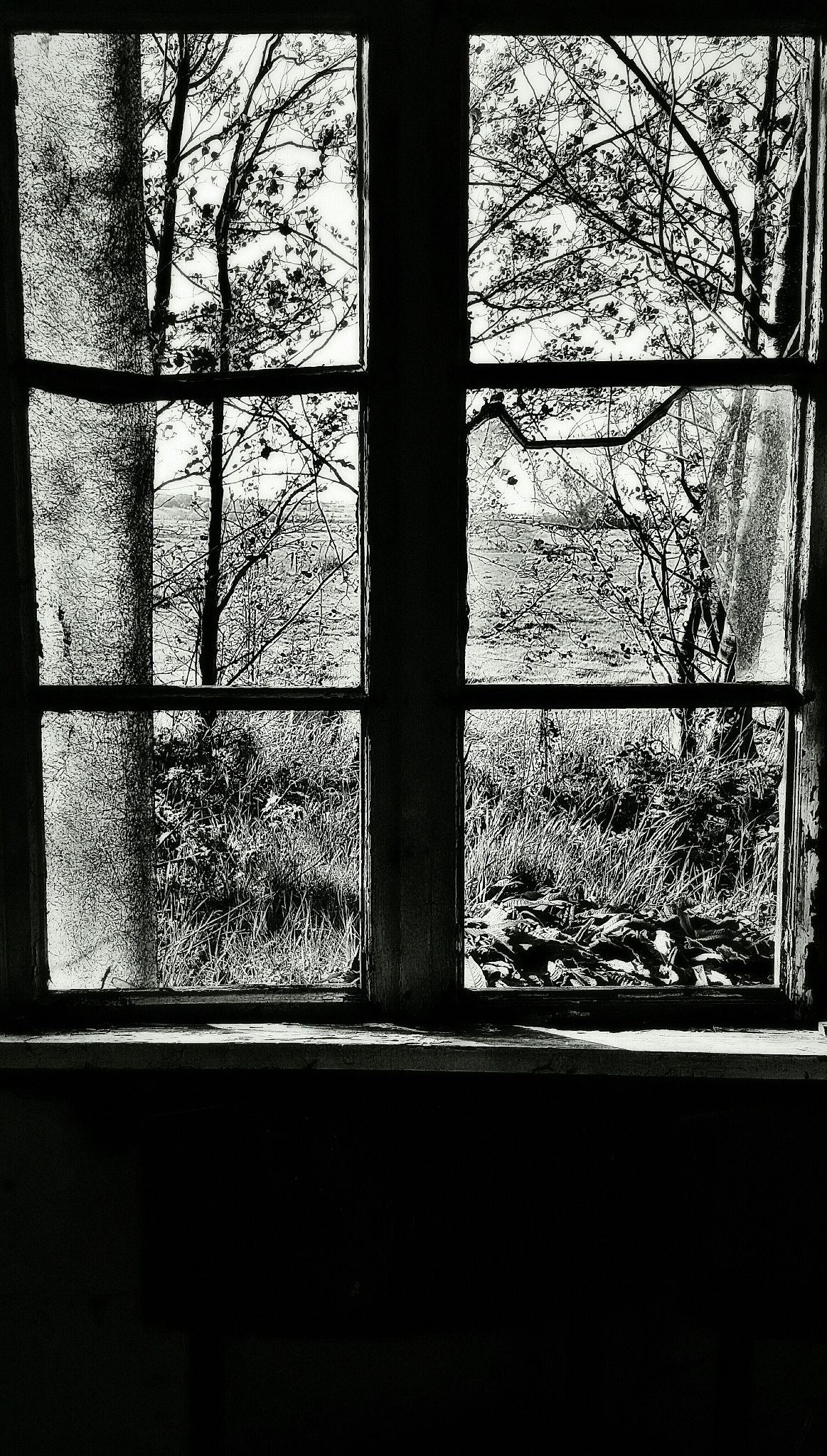 灰度平均值法的计算步骤