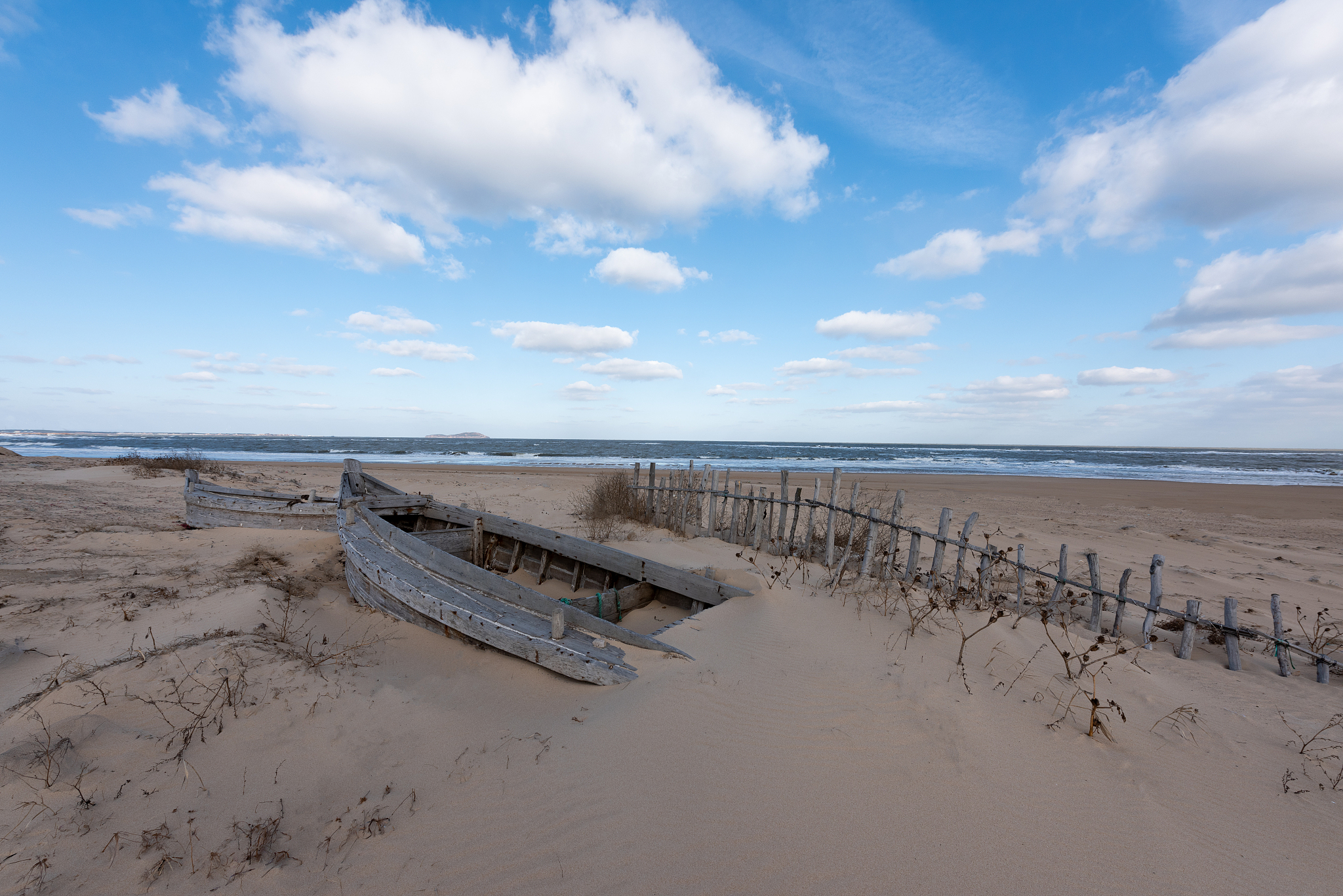 威海海洋职业学院物联网应用技术与新迈尔北京科技有限专业优势怎么样发展前景好不好呢