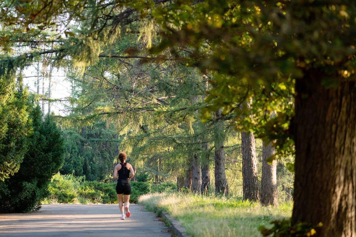 秋日校园漫步：感受金秋的美丽与温暖