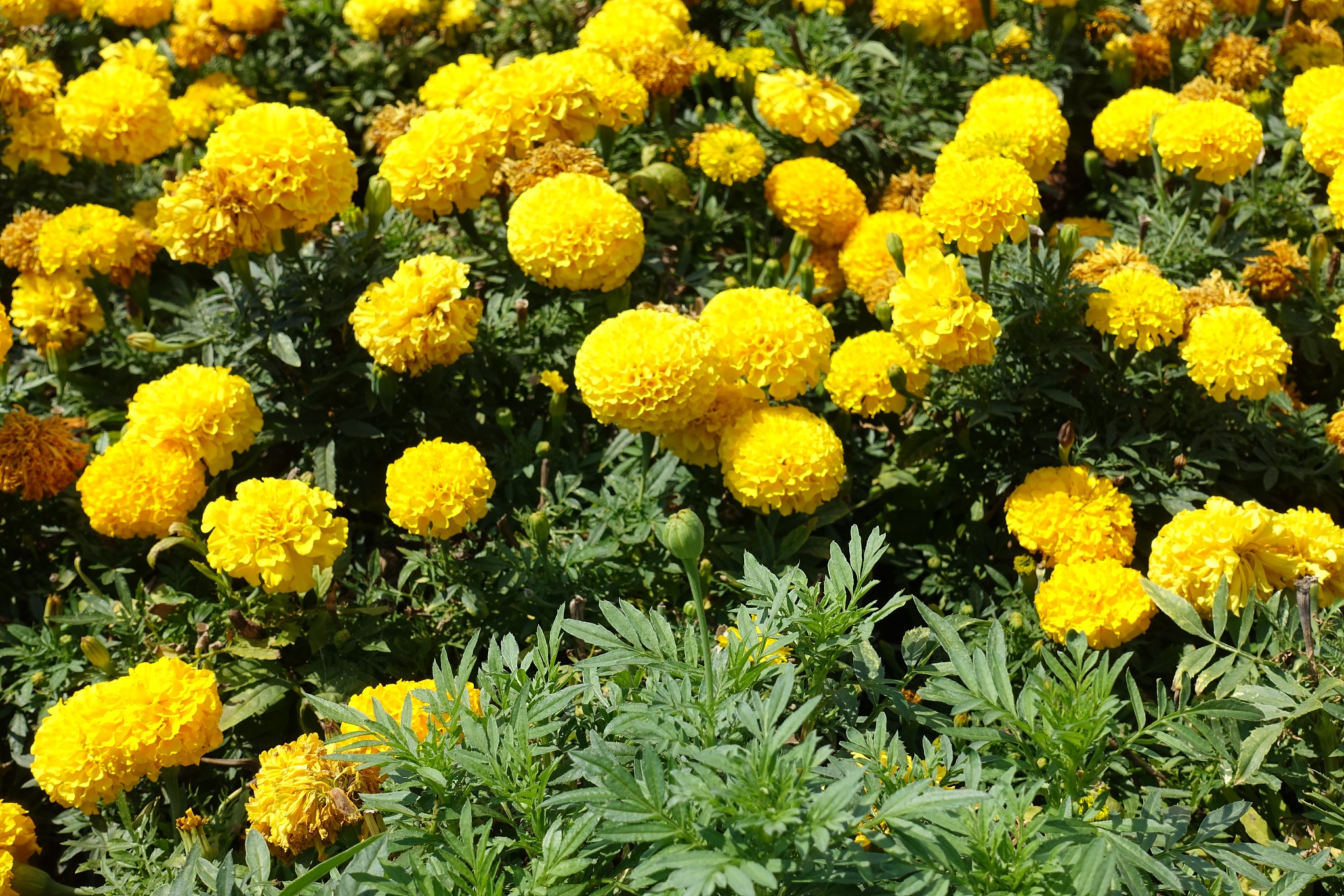 吉安市中等专业学校招生专业：热门专业及特色介绍