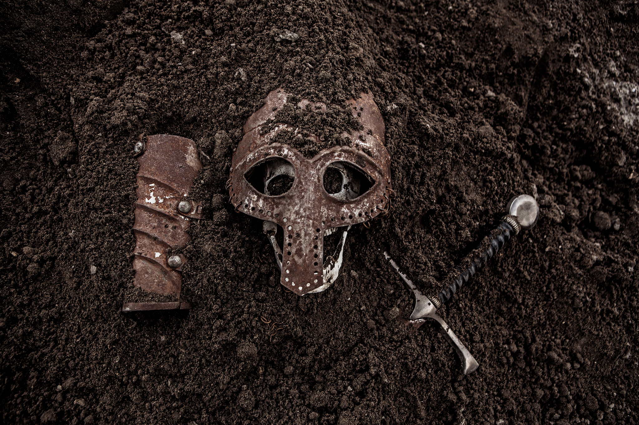 viking warrior archaeology