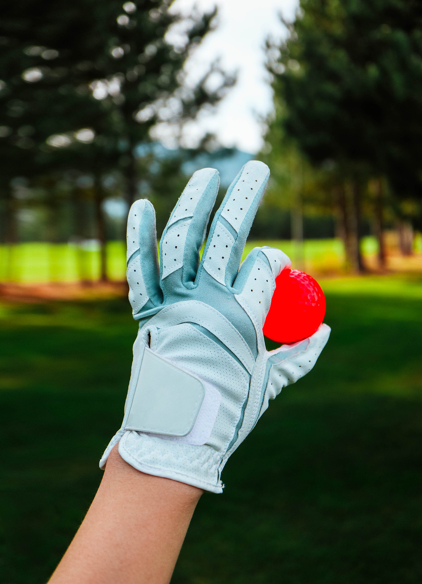 a hand of female golfer with a glove and red ball, close up. gre
