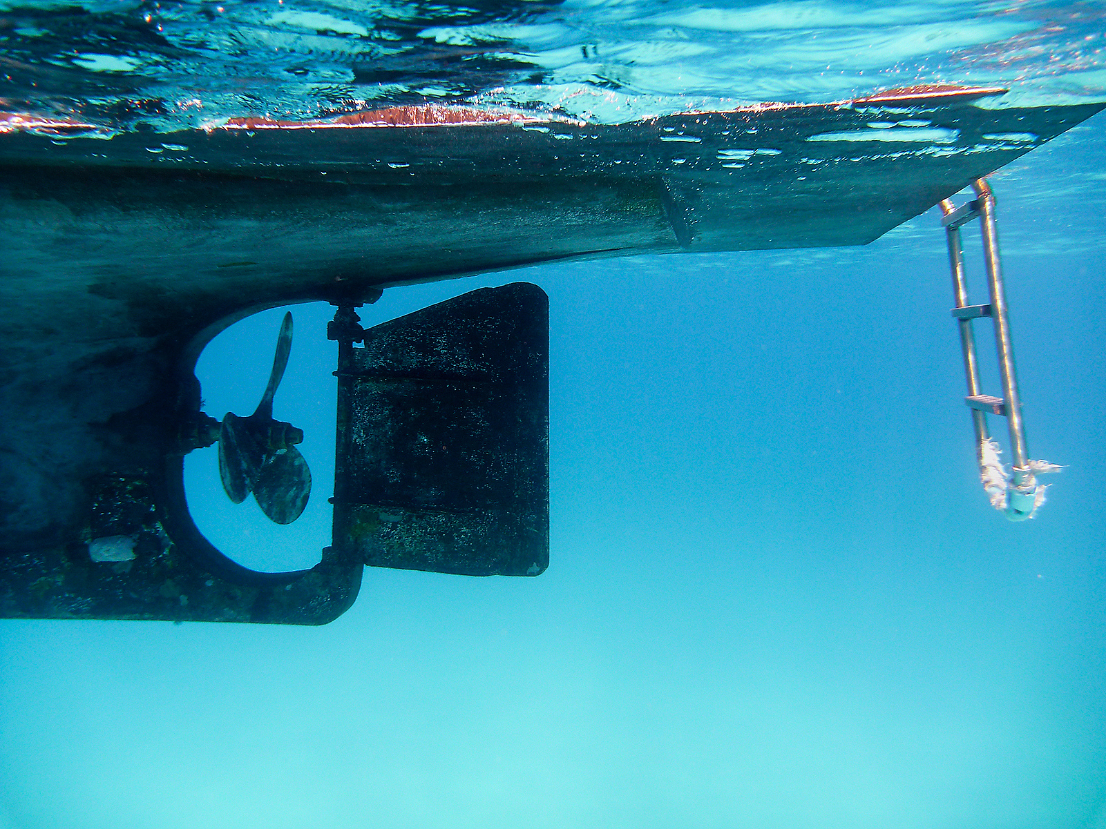 IPMC驱动的软体机器鱼水动力学特性研究